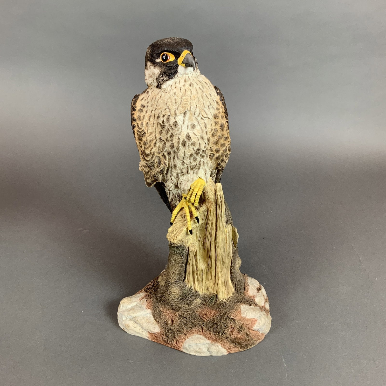 Wedgwood Raptors Collection Porcelain Figurine, Peregrine Falcon: This fine porcelain figurine by Wedgwood is titled The Peregrine Falcon (Falco peregrinus) and is part of The Raptors Collection. The bird is realistically modeled in a perched stance on a base design