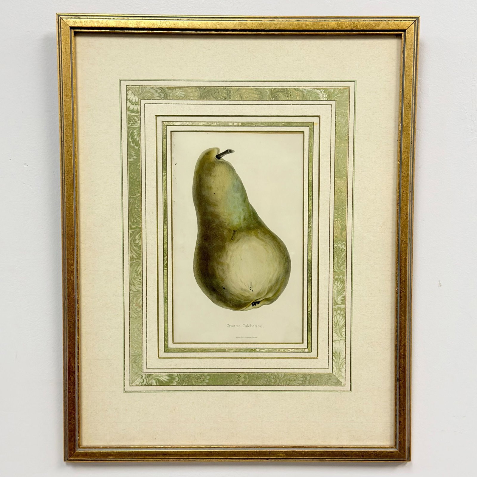Frederick Waller, 19th Century Botanical Lithograph of Grosse Calebasse Pear (1 of 4)