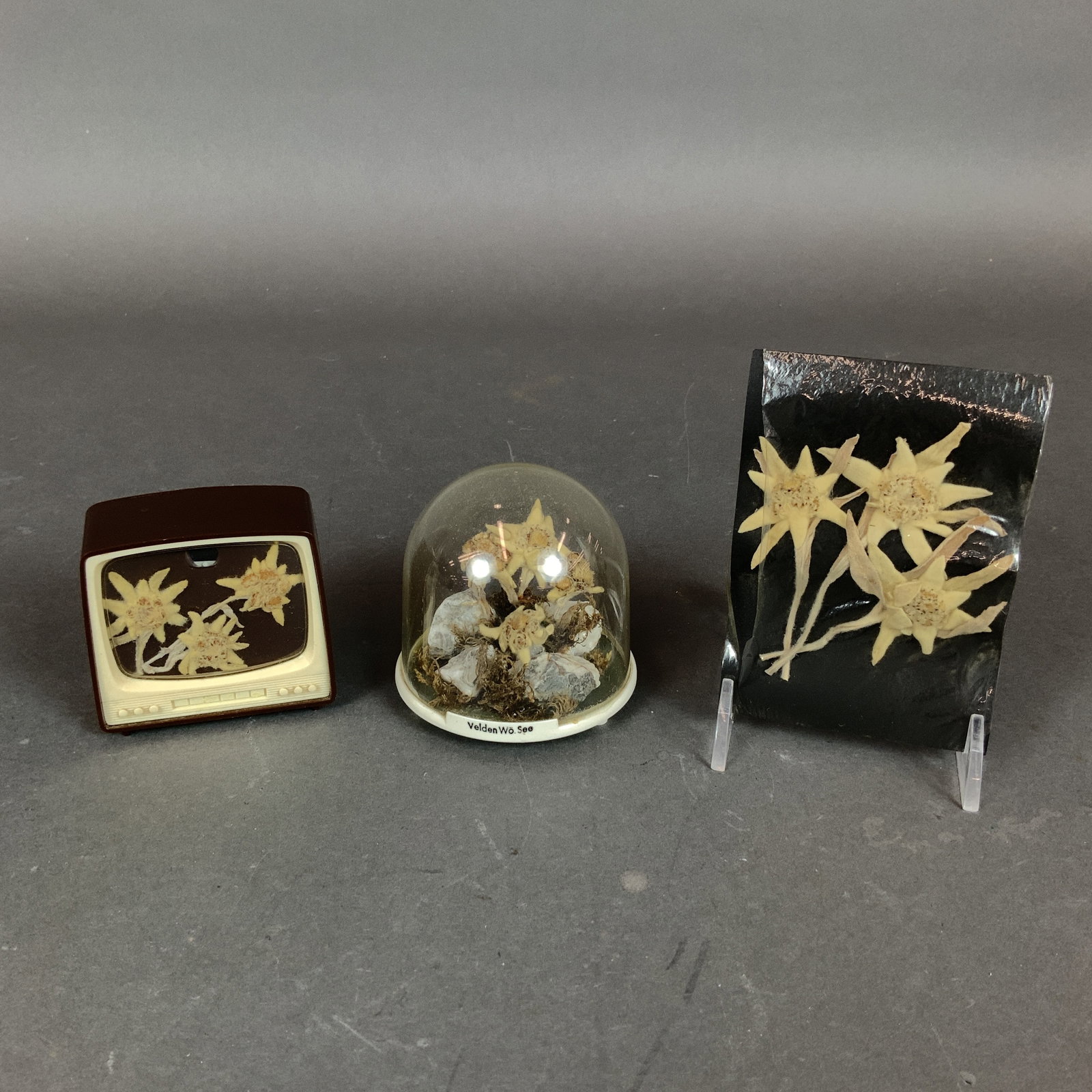 3pc Mid-Century Alpine Souvenir Displays with Dried Edelweiss Flowers: This lot consists of a trio of vintage souvenir displays featuring dried botanical specimens of Edelweiss (Leontopodium nivale). These items represent mid-20th-century Alpine tourist memorabilia,