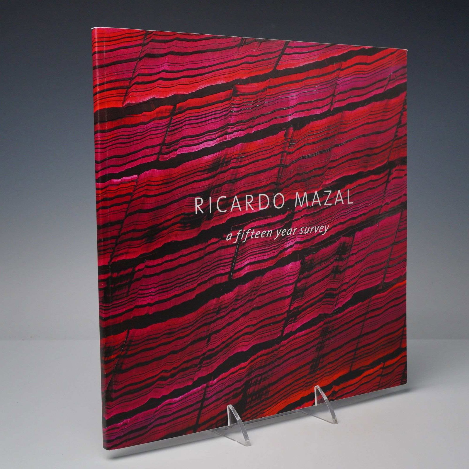 Ricardo Mazal: A Fifteen Year Survey, Center for Contemporary Arts 2005 (1 of 4)