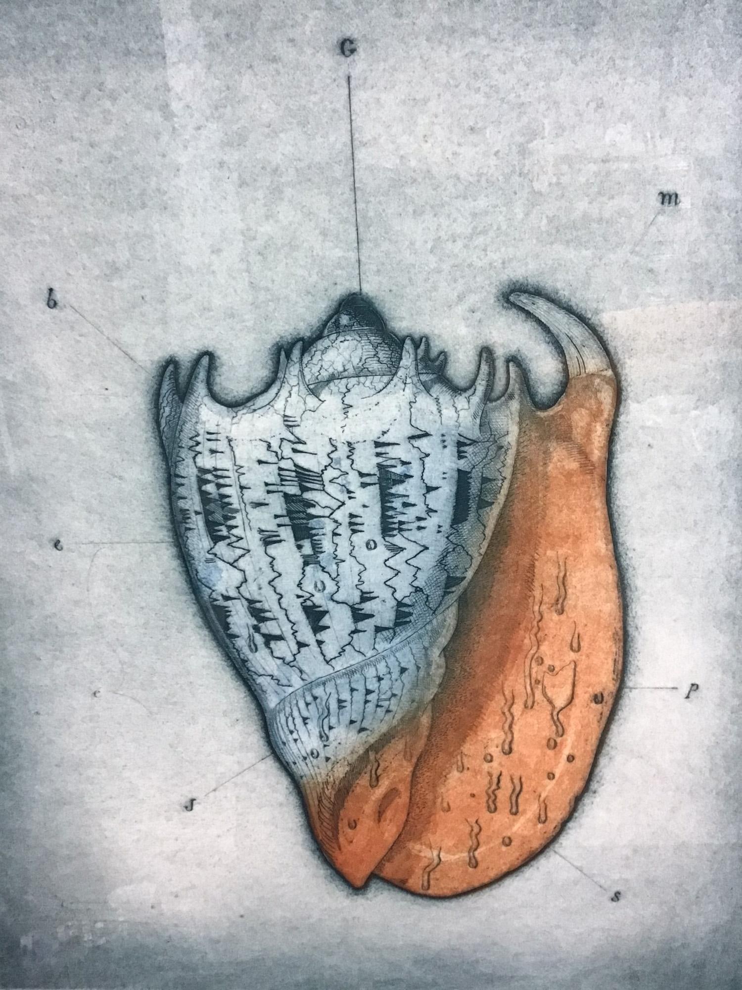 Tighe O'Donoghue, 'Seashore claw' (Signed) (1 of 4)