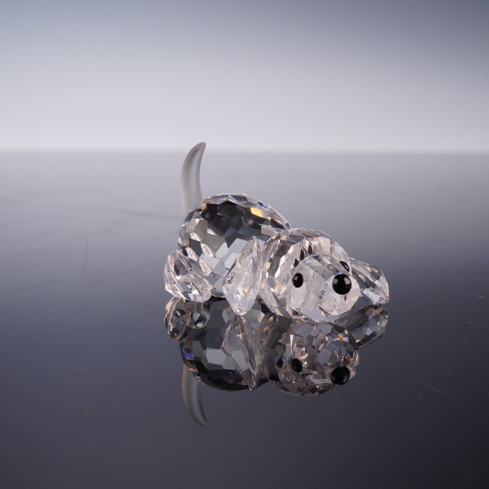 Swarovski Crystal Figurine Beagle Puppy Playing (1 of 5)