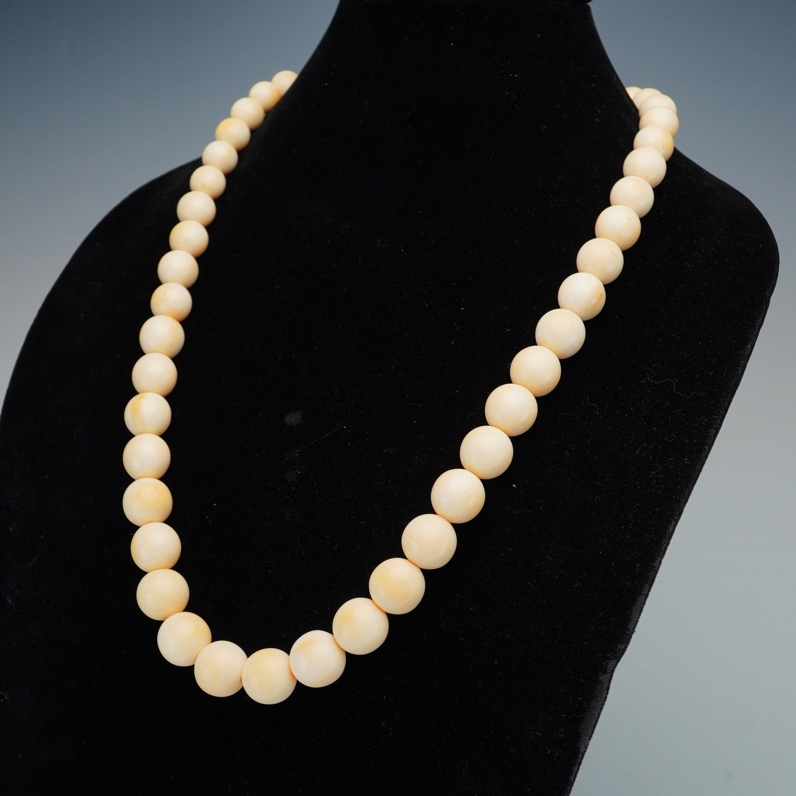 Graduated Organic Bead Necklace with Integrated Screw Clasp: This graduated bead necklace is crafted from carved cream-colored organic beads. Visual inspection reveals distinctive cross-hatched graining patterns, known as Schreger lines, which are characteristi