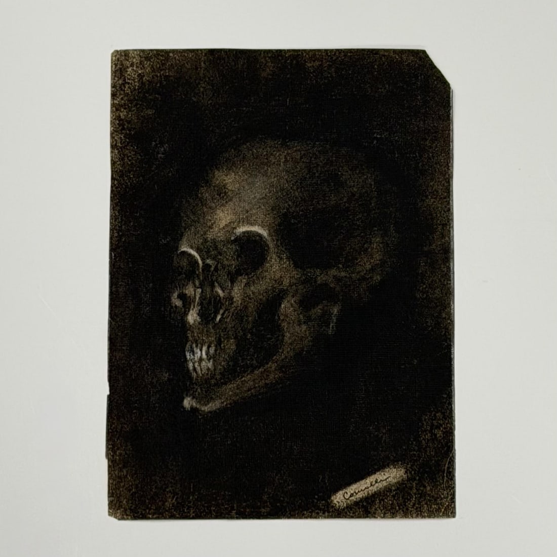 Angelo Comolli (Italian, 1863-1949), Skull Study, Charcoal Drawing, ca. 1911-1913 (1 of 4)