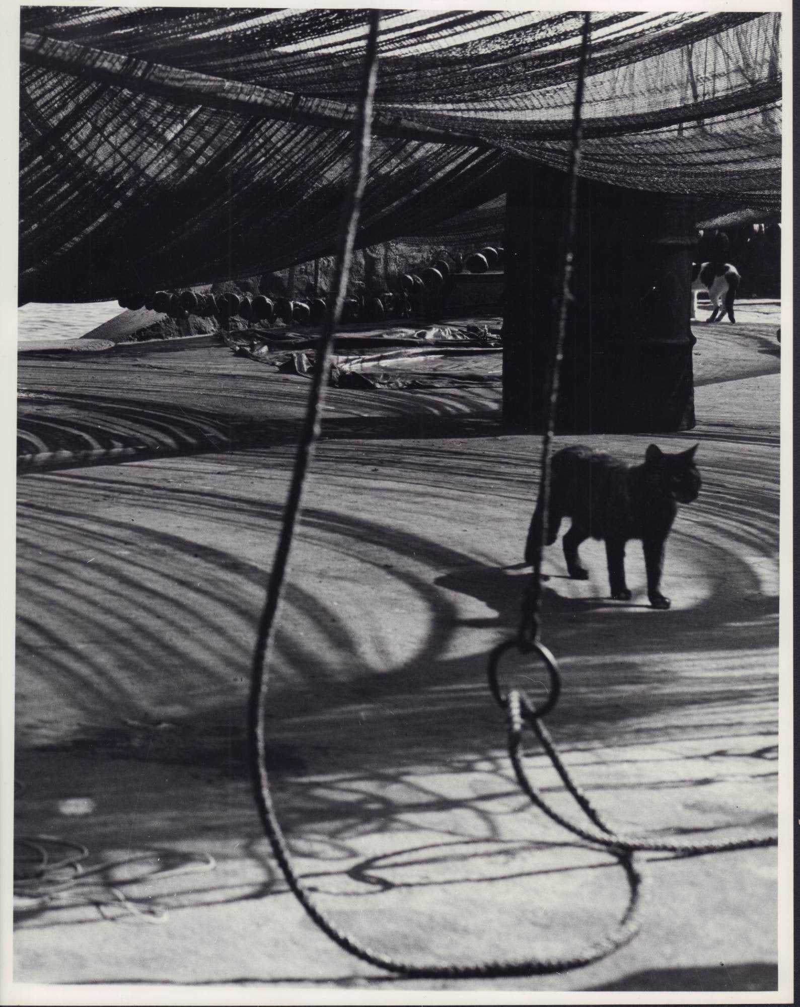2pc Eliot Elisofon (American, 1911-1973) , Gelatin Silver Prints, Nautical Theme (1 of 4)