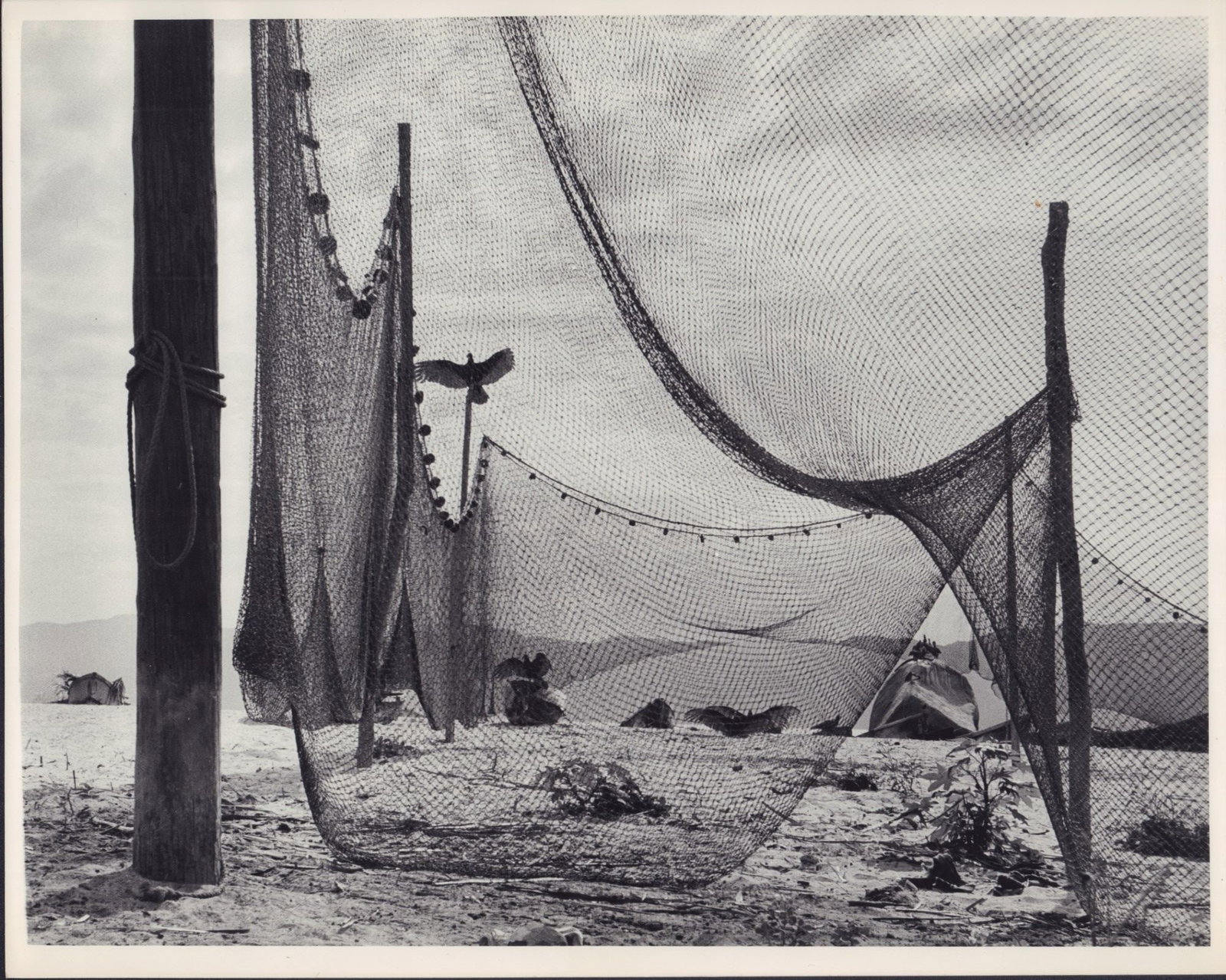2pc Eliot Elisofon (American, 1911-1973) Nets in the Desert Gelatin Silver Prints (1 of 4)