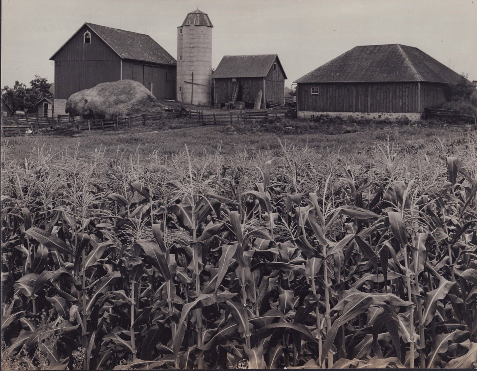 2pc Eliot Elisofon (American, 1911-1973), Original Gelatin Silver Prints, American Agricultural (1 of 4)