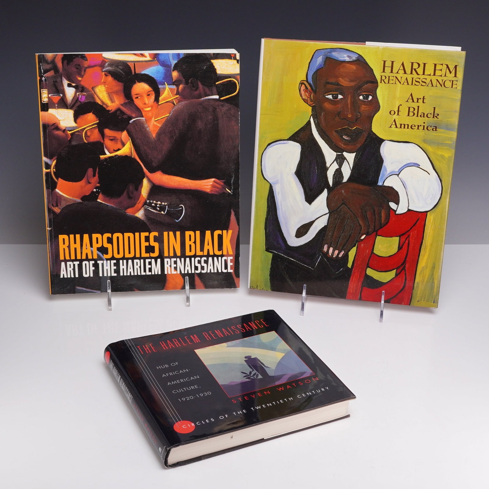 3pc Volumes: Art and History of the Harlem Renaissance: This collection includes three volumes documenting the artistic and cultural impact of the Harlem Renaissance. The first volume is Rhapsodies in Black: Art of the Harlem Renaissance, a large-format