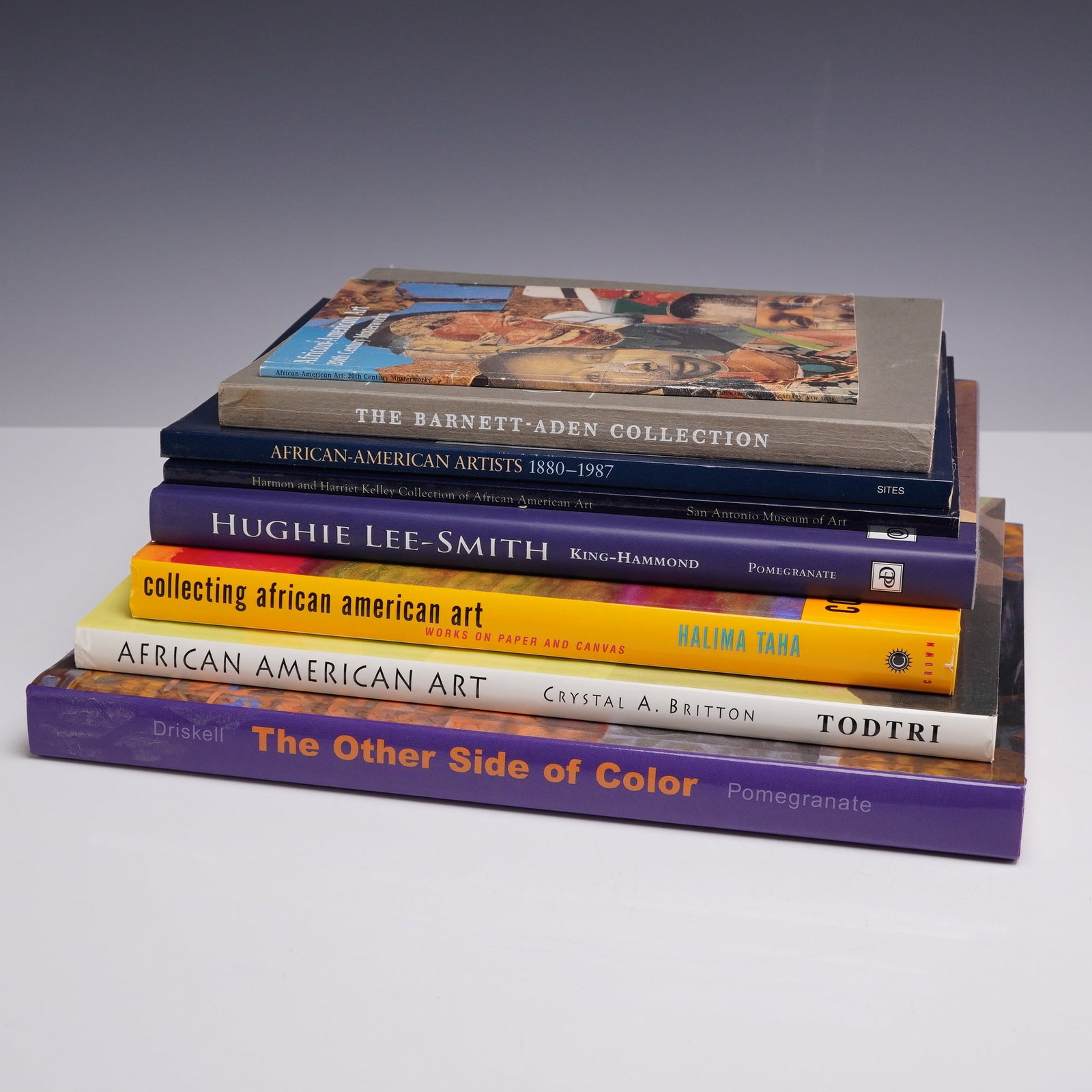 8pc Collection of Books on African American Art: This collection consists of 8 books and exhibition catalogs focused on African American art history, individual artists, and prominent private collections. The lot includes four hardcover volumes with