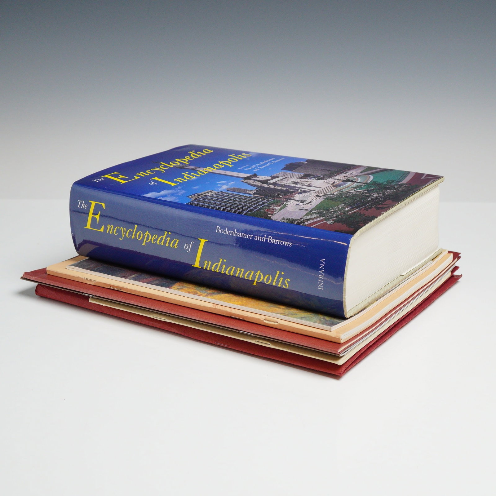 A Collection of 9 Art Books and Trade Paperbacks Including Bodenhamer and Barrows. The Encyclopedia (1 of 7)