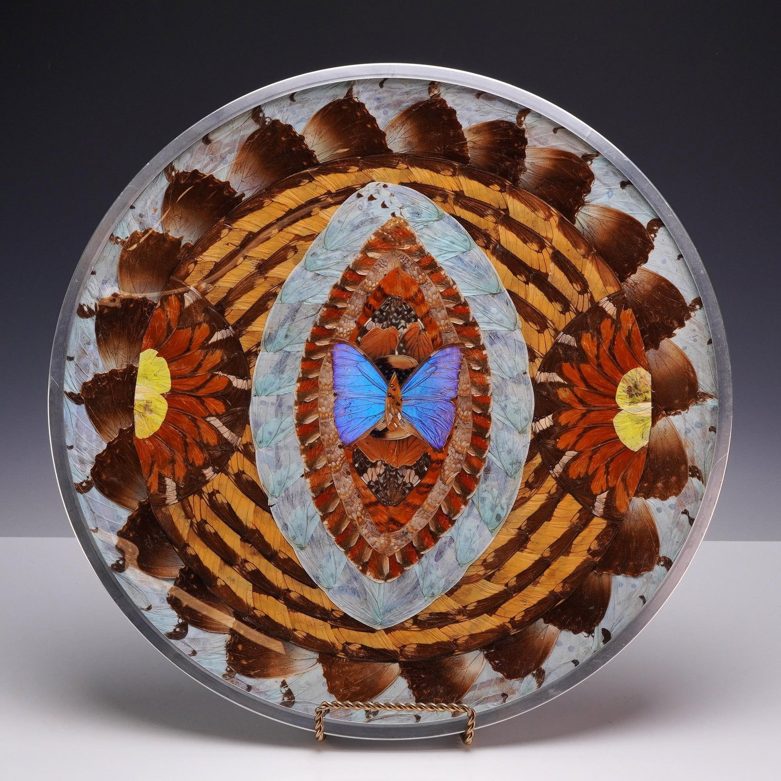 Brazilian Blue Morpho Art Plate with Stand (1 of 3)