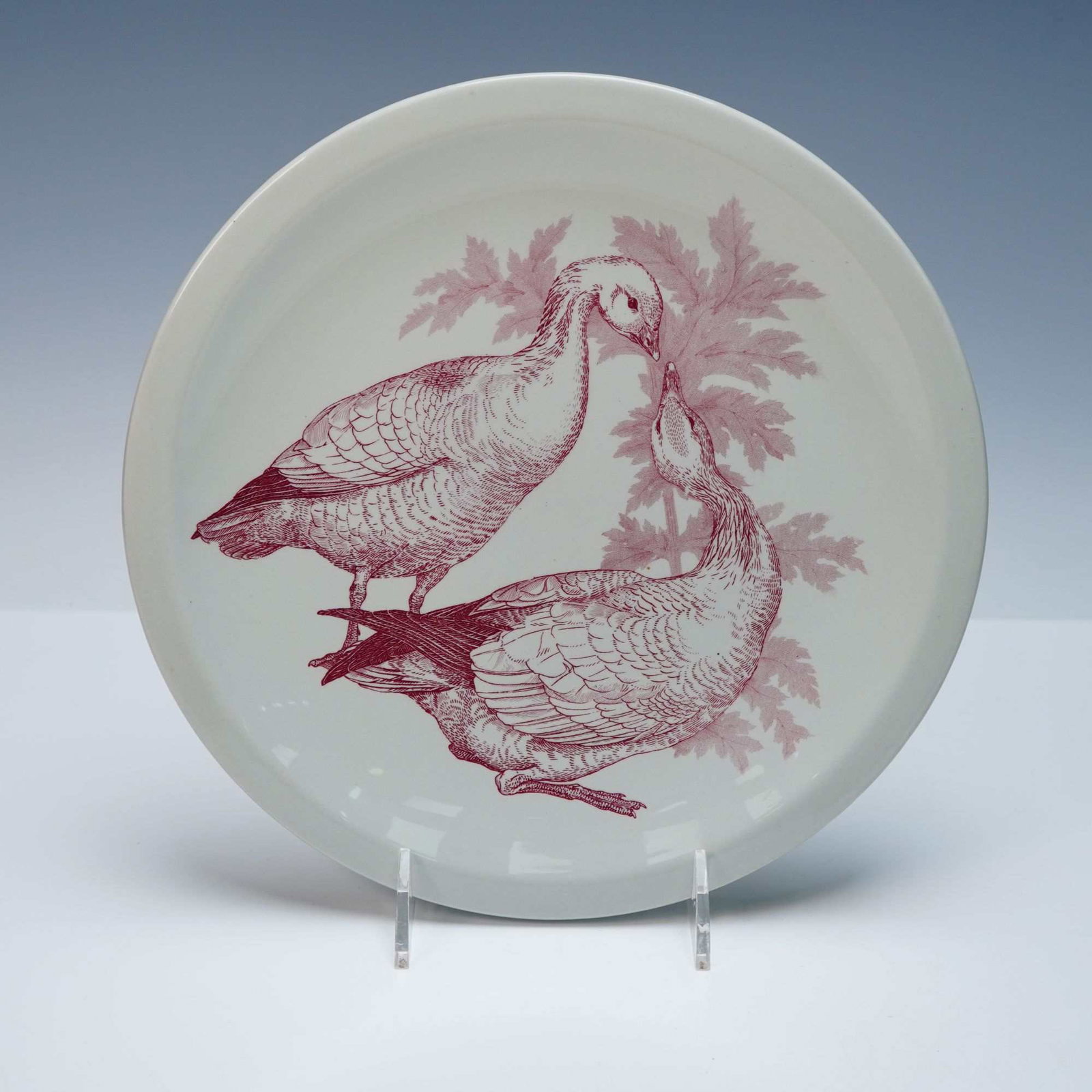 Wedgwood American Game Birds 'Snow Goose' Dinner Plate (1 of 4)