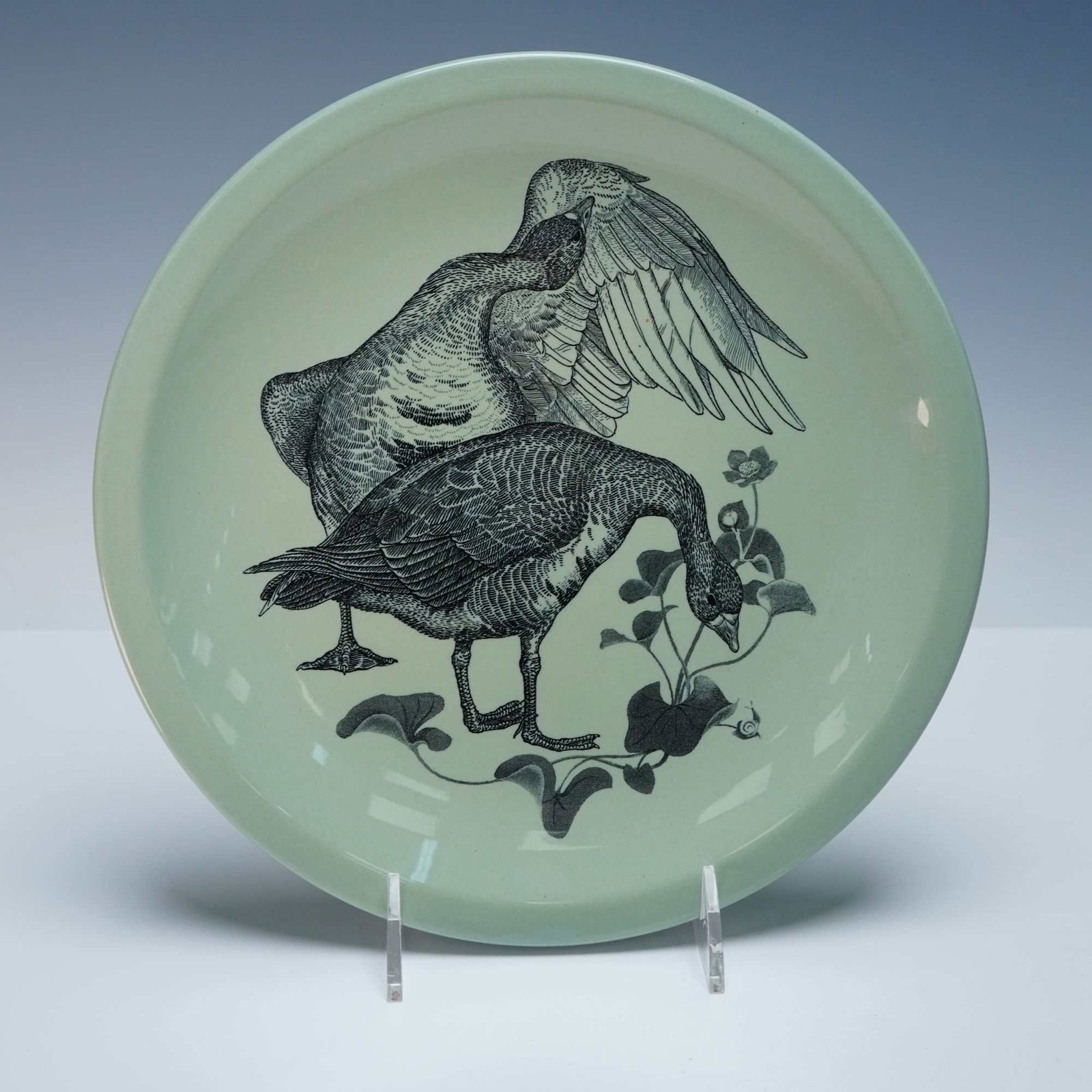 Wedgwood 'American Game Birds' Plate, White-Fronted Goose (1 of 4)