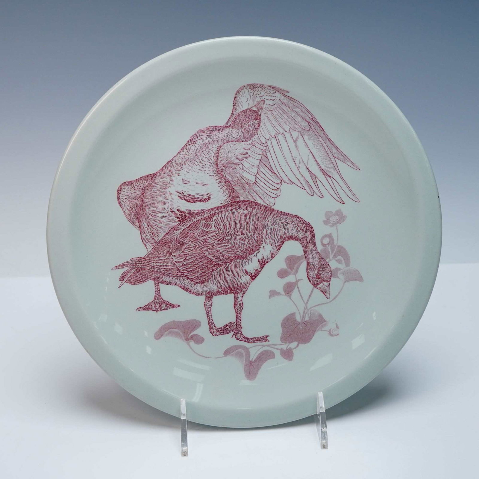 Wedgwood American Game Birds Plate - White-Fronted Goose: A circular ceramic plate from the Wedgwood 'American Game Birds' series, featuring the 'White-Fronted Goose' design. The plate has a pale celadon green/grey ground decorated with a detailed deep red (