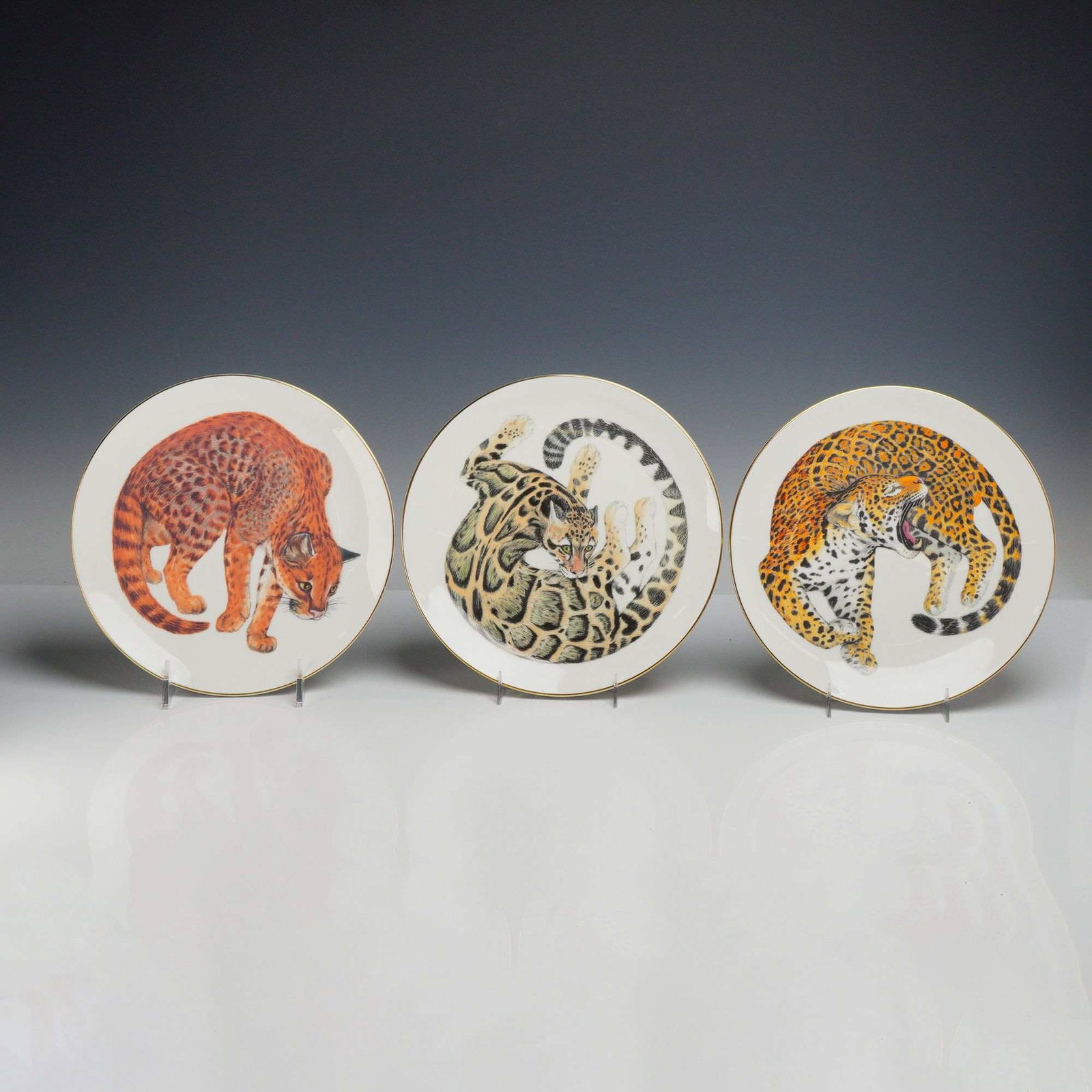 A Trio of Wedgwood Earthlife Collection Rain Forest Series Bone China Plates: A trio of fine bone china cabinet plates produced by Wedgwood for the Earthlife Collection, specifically from the Rain Forest Series. Each plate features a detailed polychrome central illustration of