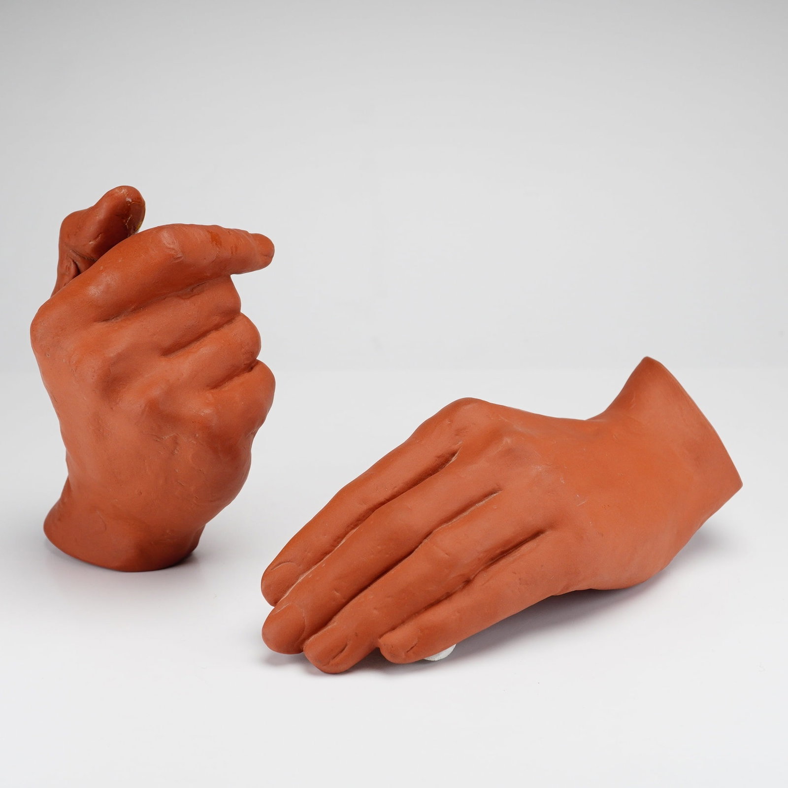 2pc Terracotta Ceramic Hands: A pair of realistic anatomical hand models from the Rubin Collection, crafted from terracotta-colored ceramic. This set includes a left and a right hand, each featuring lifelike anatomical details