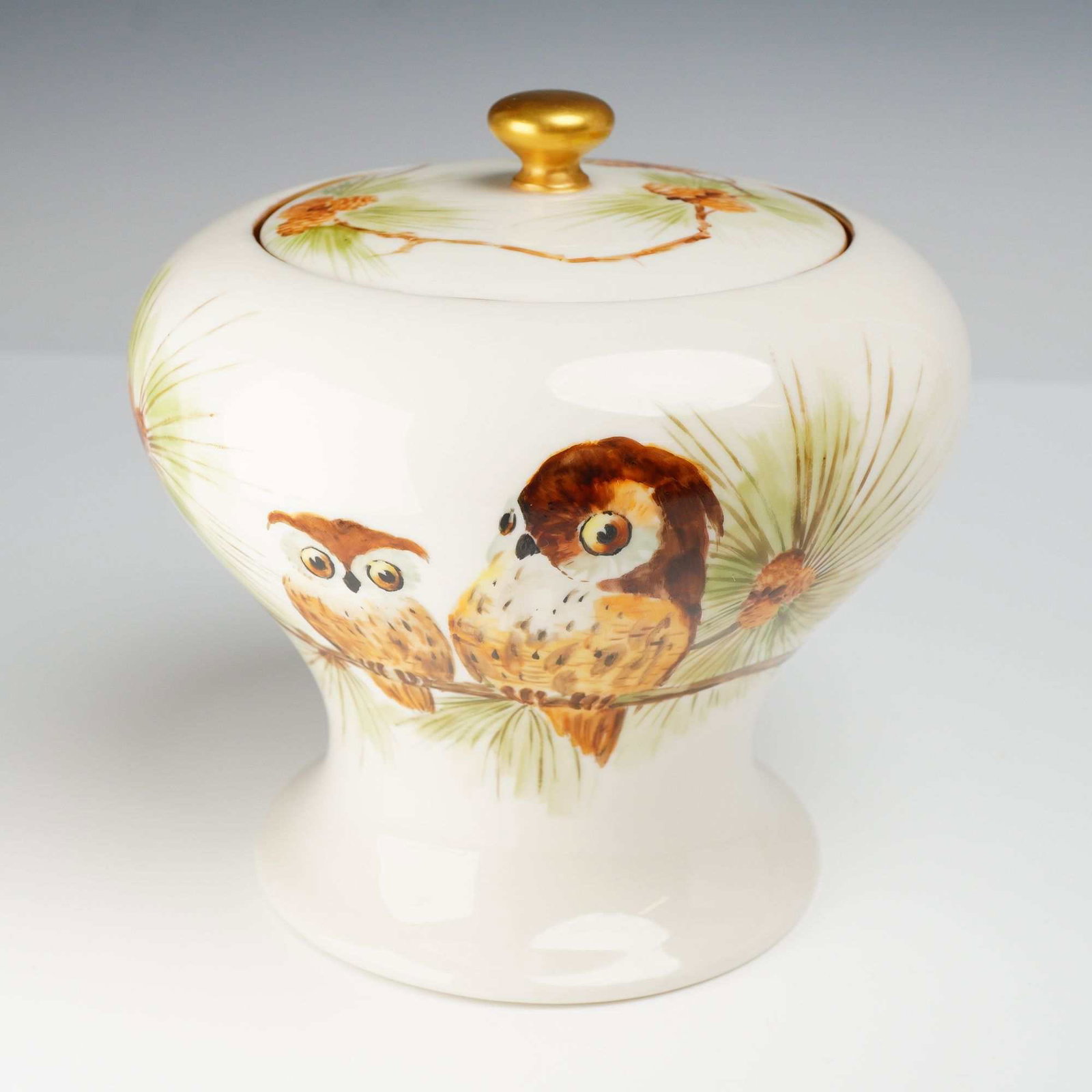 Lenox Belleek Hand Painted Porcelain Lidded Jar with Owls: This hand painted porcelain lidded jar was manufactured by Lenox Belleek in Trenton, New Jersey. The vessel features a bulbous form resting on a waisted and flared pedestal foot. The exterior is decor