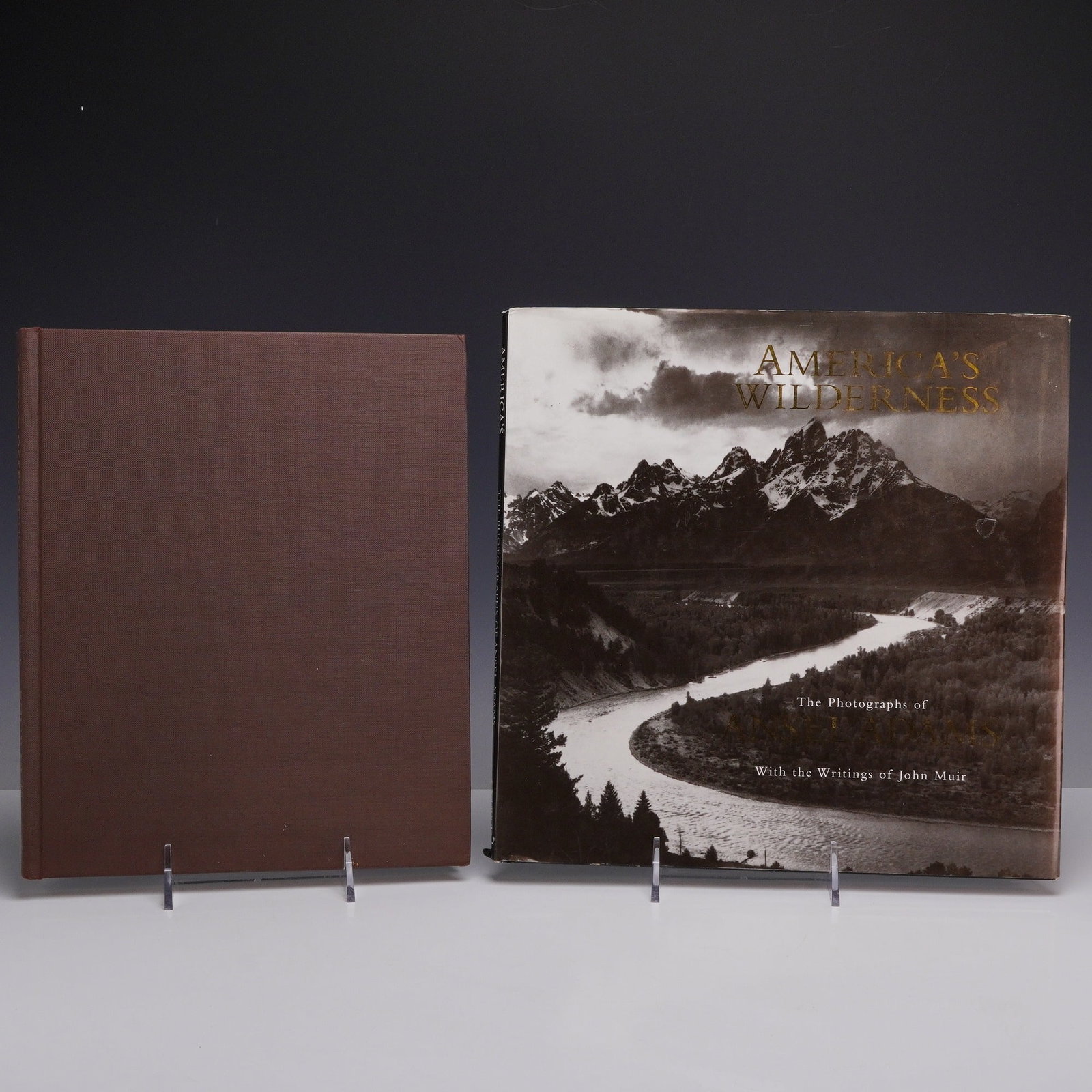 Two Photography Volumes: Snowdon, Public Appearances and Adams, America's Wilderness. (DJ): A pair of large-format hardcover photography volumes. The first volume is titled Public Appearances 1987-1991 by Snowdon, published by The Vendome Press, 1991. It is bound in publisher's original brow