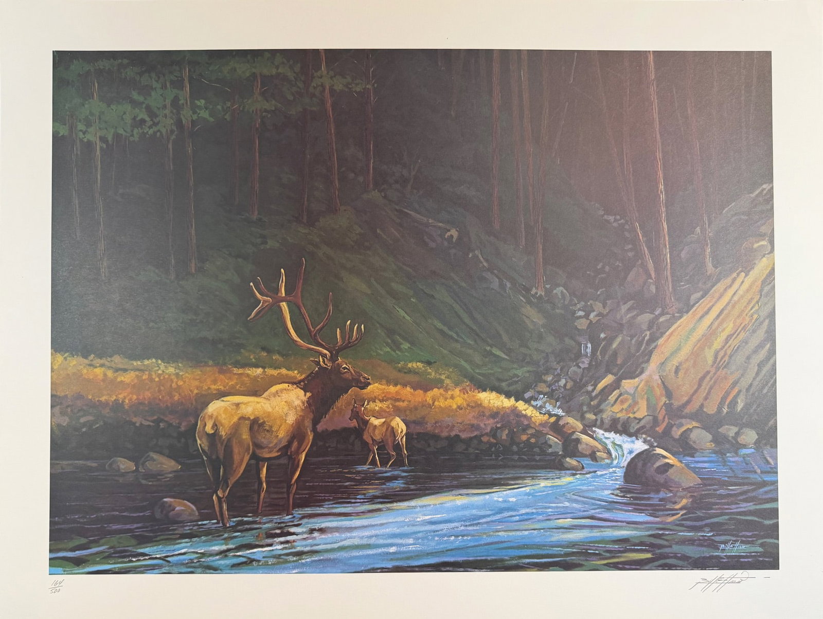 Bill Elliott (1945-) Lithograph, The Old Bull Signed: Lithograph Titled The Old Bull Signed bottom right Numbered 164/500. Year 1977 Sight size 32" x 24" Dimensions: See Description.