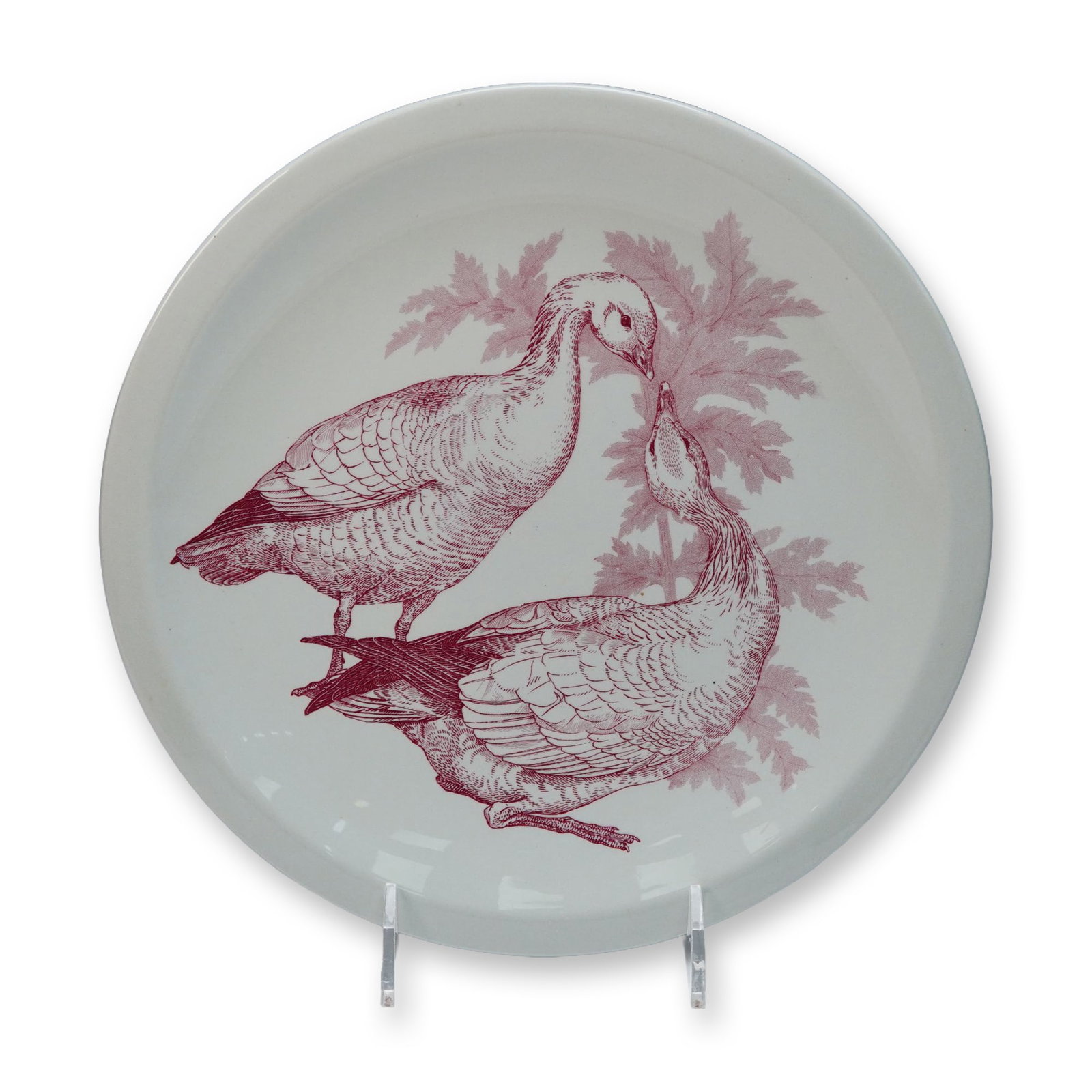 Wedgwood American Game Birds 'Snow Goose' Dinner Plate (1 of 4)