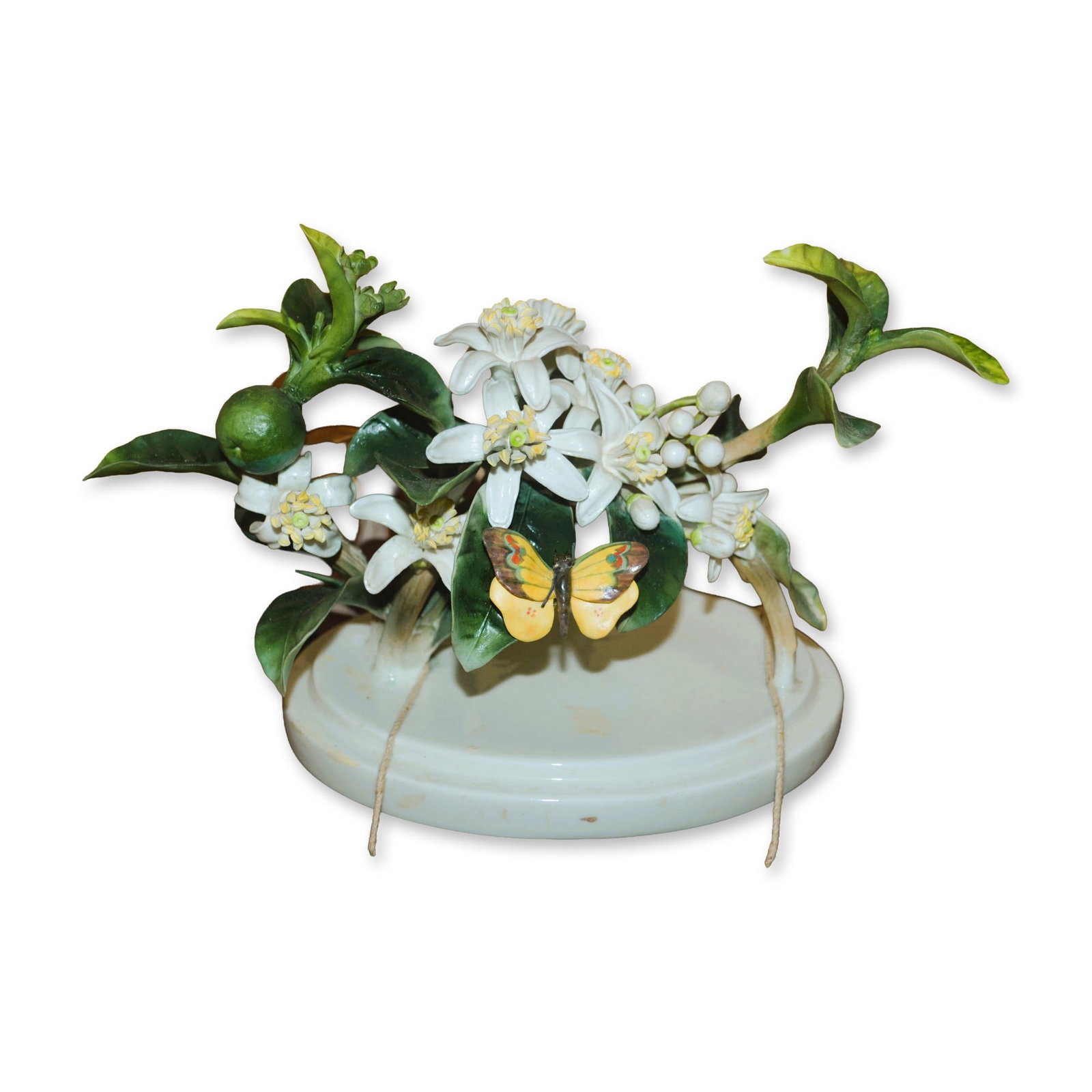 Royal Worcester Porcelain Sculpture LE Dorothy Doughty Orange Blossom Spray W/Butterfly, 1947, OB (1 of 5)