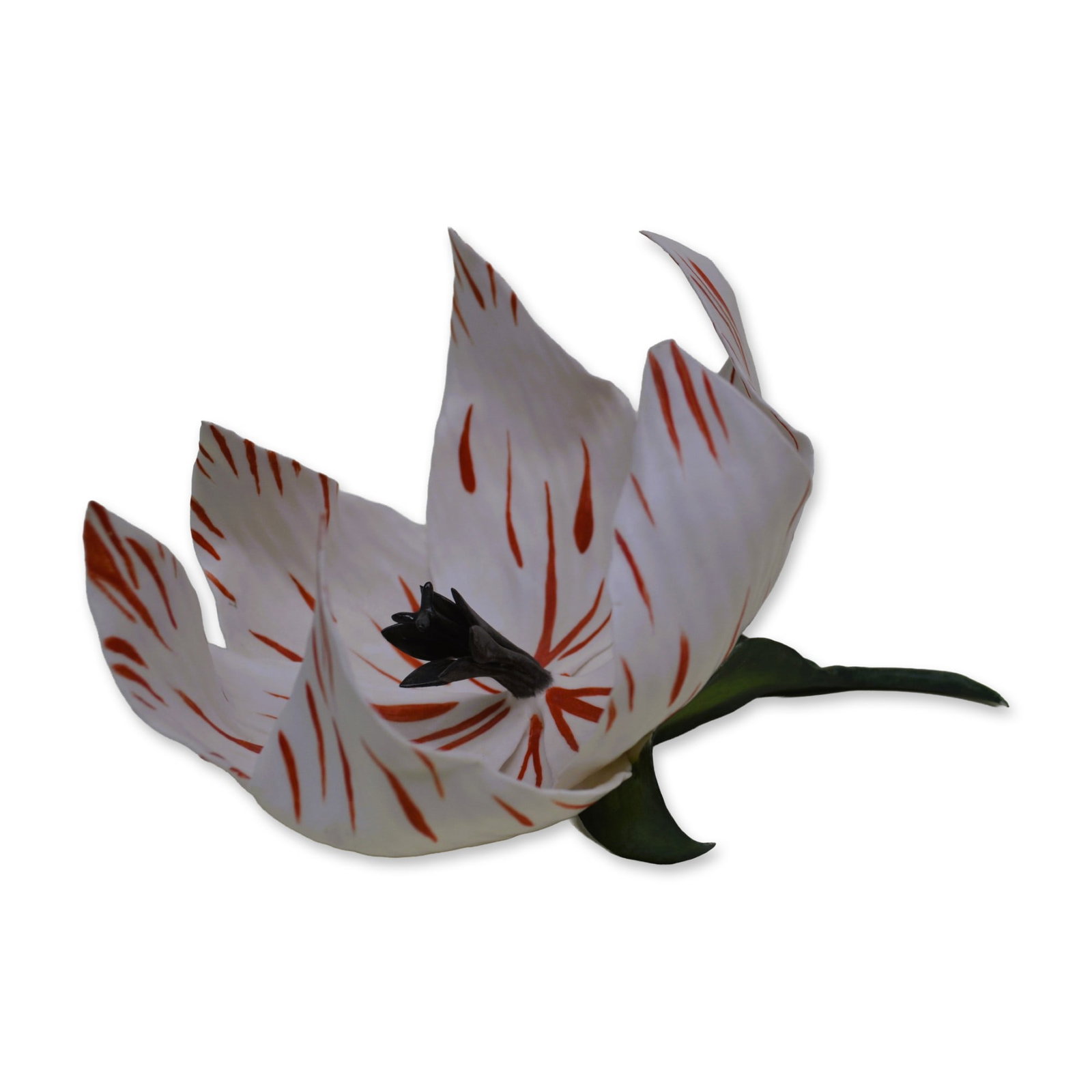 Connoisseur Porcelain Sculpture Red/White Tulip Floral (Fleur Cowles) Signed By D. Lewis: English Fine Bone China, Decorated, hand created, hand painted by the Artists of the Connoisseur Studios of Malvern, UK. Rare, early and difficult to obtain, featuring the Red and White Tulip (Fleur C