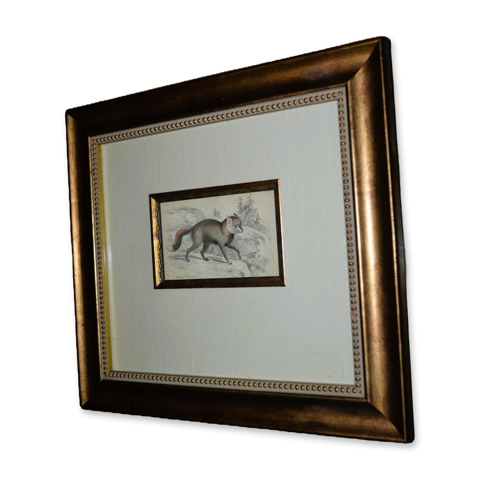 Lizars American Cross Fox, Hand Colored Engraving, Custom Frame, 19th C (1 of 3)