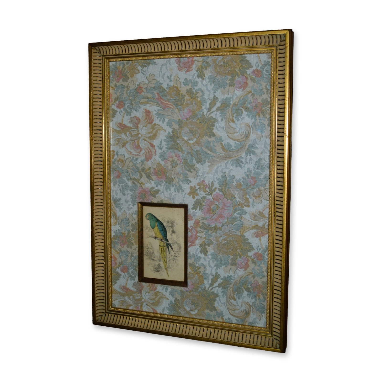 Lizars Parrot, Nanodes Venustus, Hand Colored Engraving, Tapestry Mat, Custom Frame, 19th C (1 of 3)