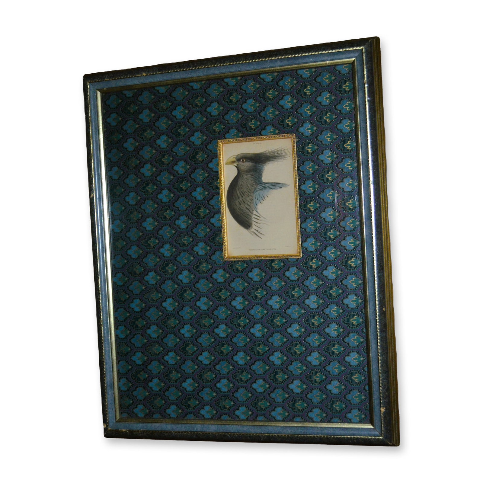 Lizars Variegated Plantain Eater Bird, Hand Colored Engraving, Tapestry Mat, Custom Frame, 19th C (1 of 4)