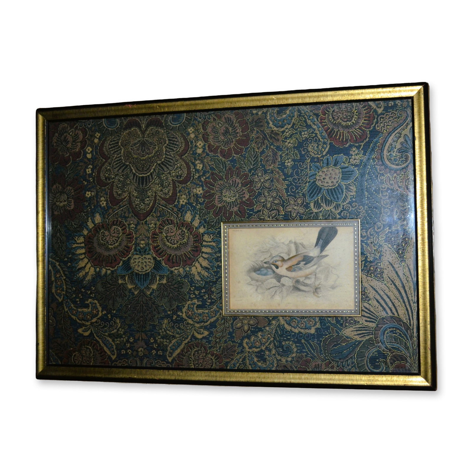 Lizars Jay Bird, Hand Colored Engraving, Tapestry Mat, Custom Frame, 19th C (1 of 3)