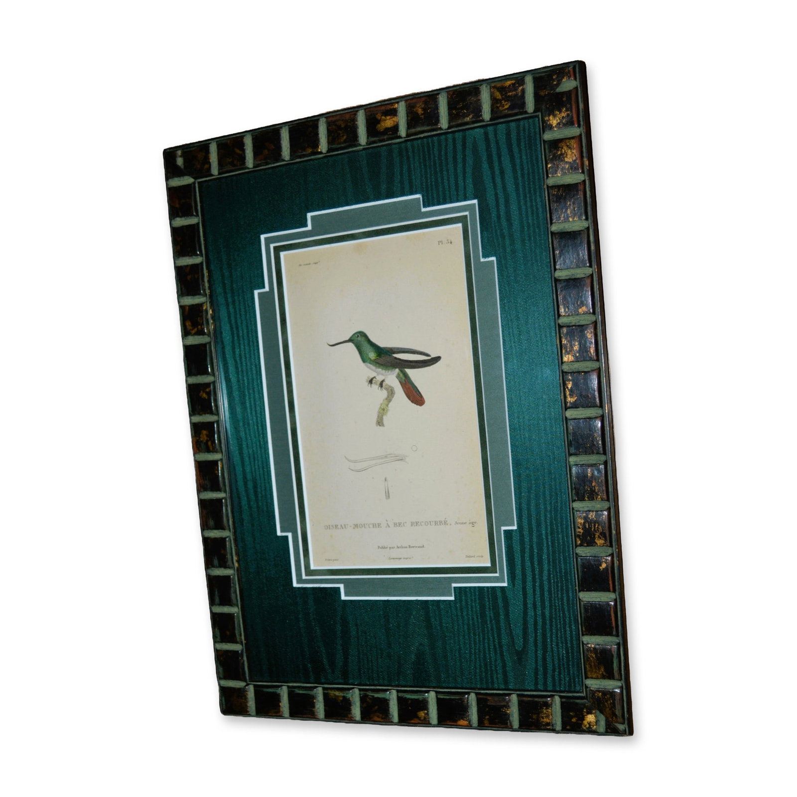 Oiseau-Mouche A' Bec Recourbe Hummingbird Teillard Birds, Original HC Engraving, Custom Frame, 19th (1 of 3)