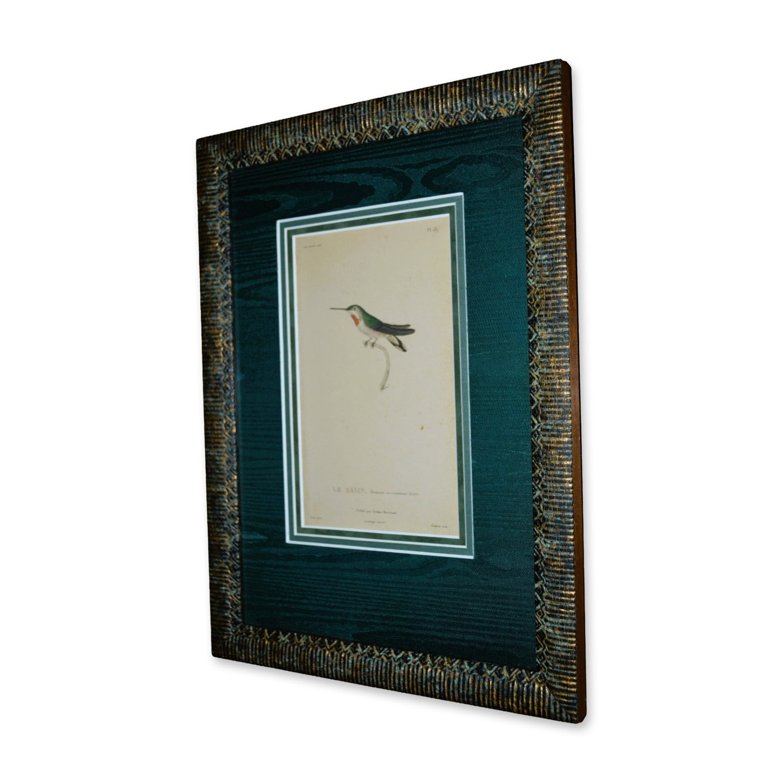 Le Sasin, Prenant Sa Troisieme Hummingbird Teillard Birds, Original HC Engraving, Custom Frame, 19th (1 of 3)