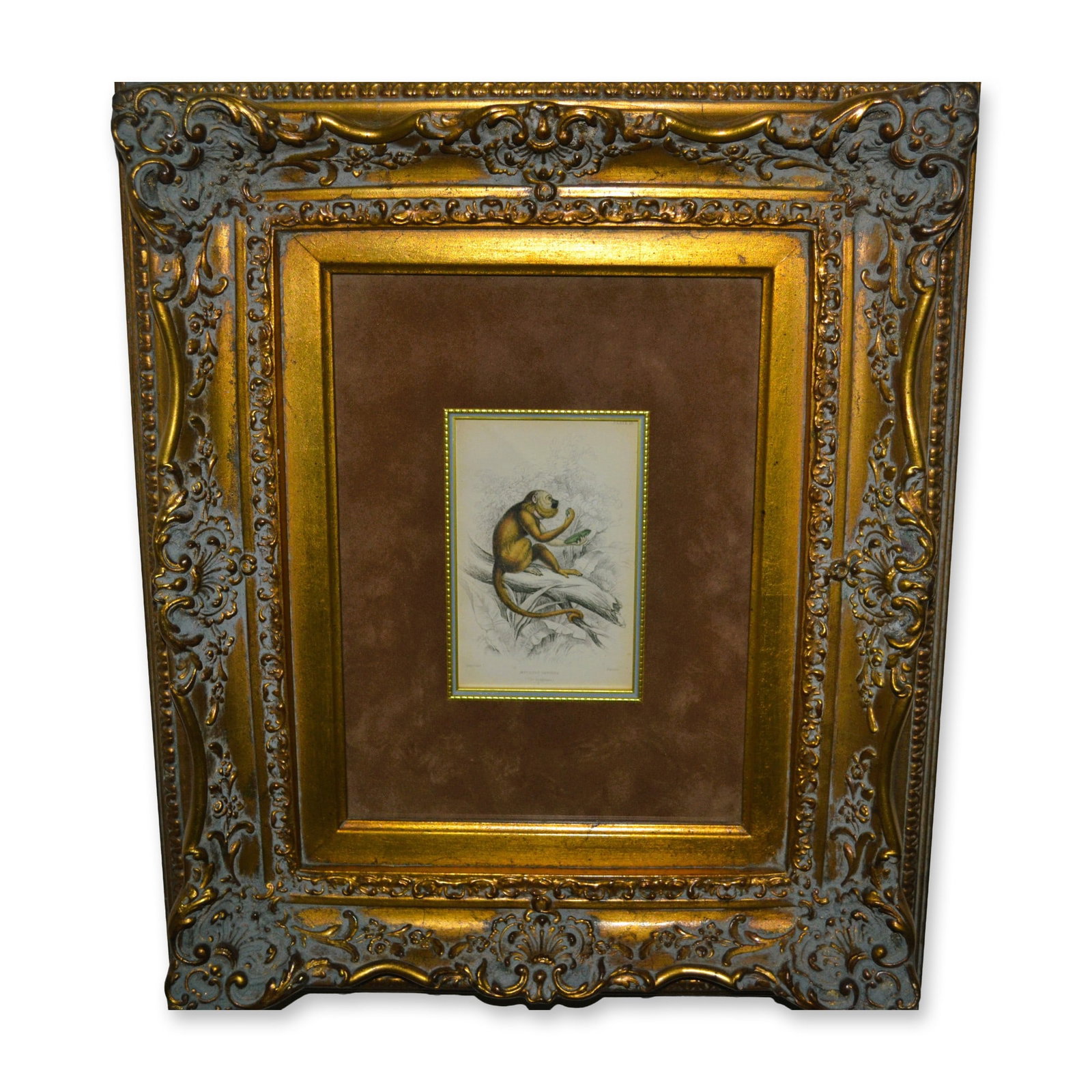 Lizars Monkey Study HC Engraving, Mycetes Vvsinus, Custom Frame, 19th C (1 of 4)