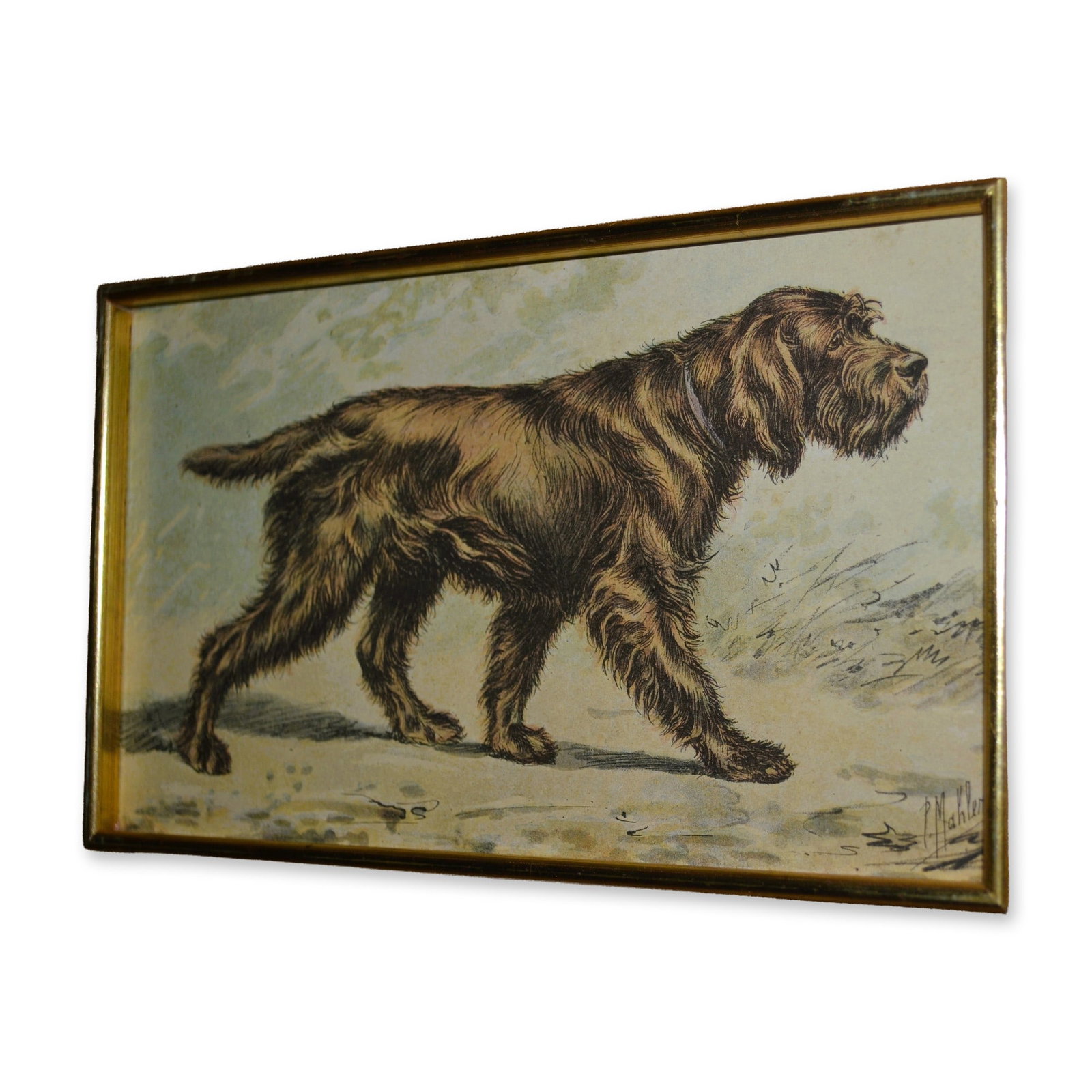 P. Mahler, The Dog, Hand Colored Engraving, Custom Frame, 19th C. (1 of 3)