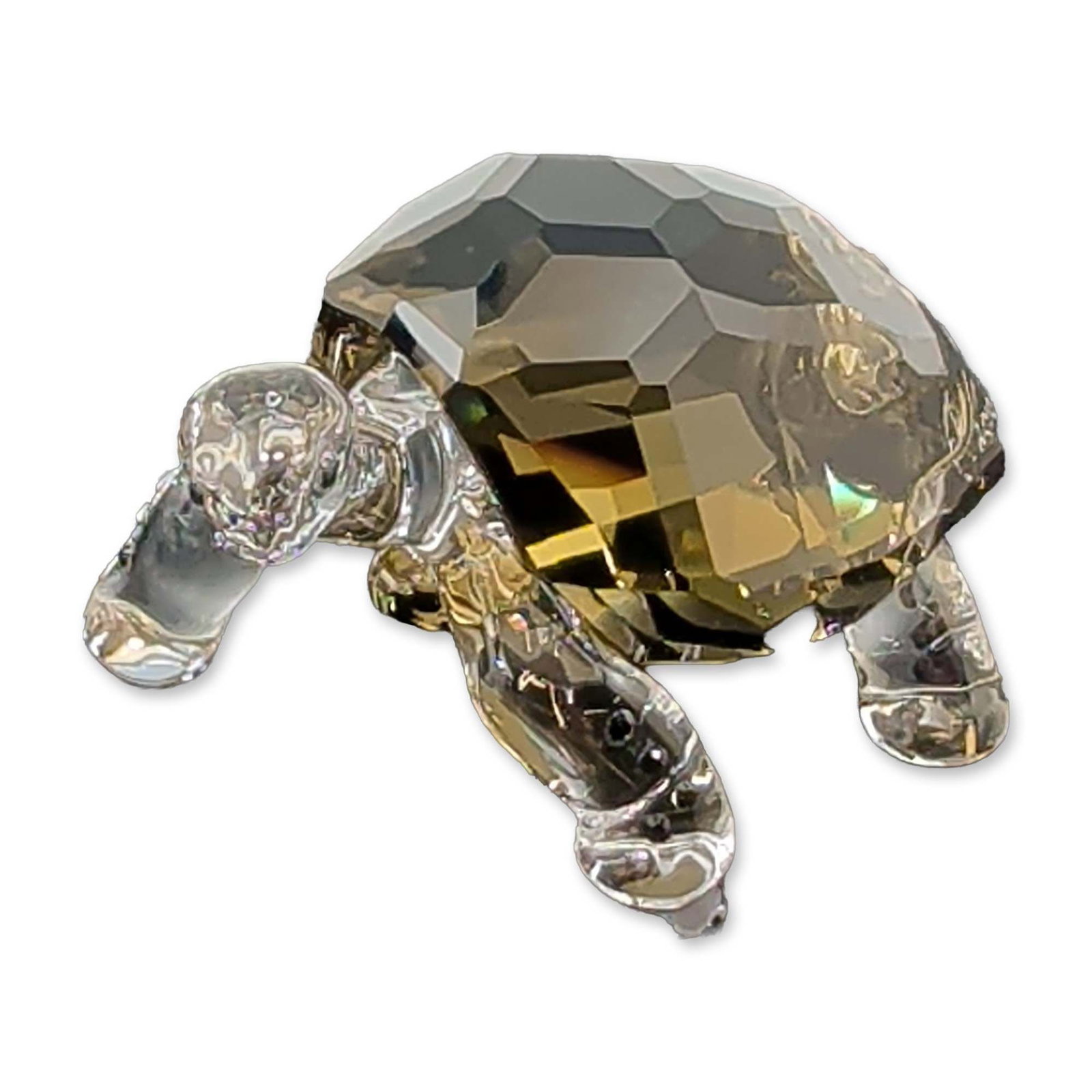 Swarovski SCS 2010 Crystal Figurine, Galapagos Tortoise (1 of 5)