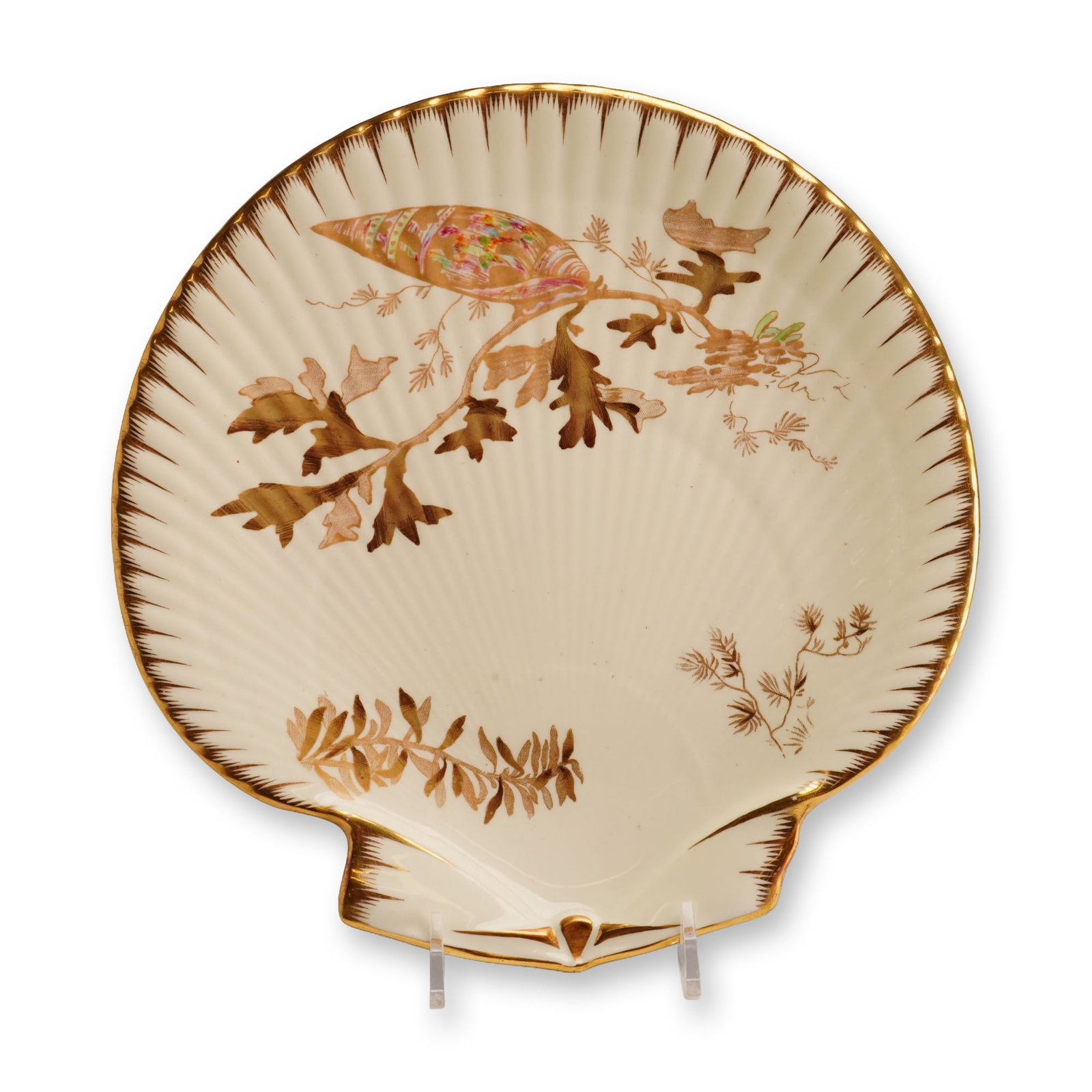 Wedgwood Etruria Nautilus Scallop Shell Porcelain Plate in Seaweed Pattern (1 of 3)