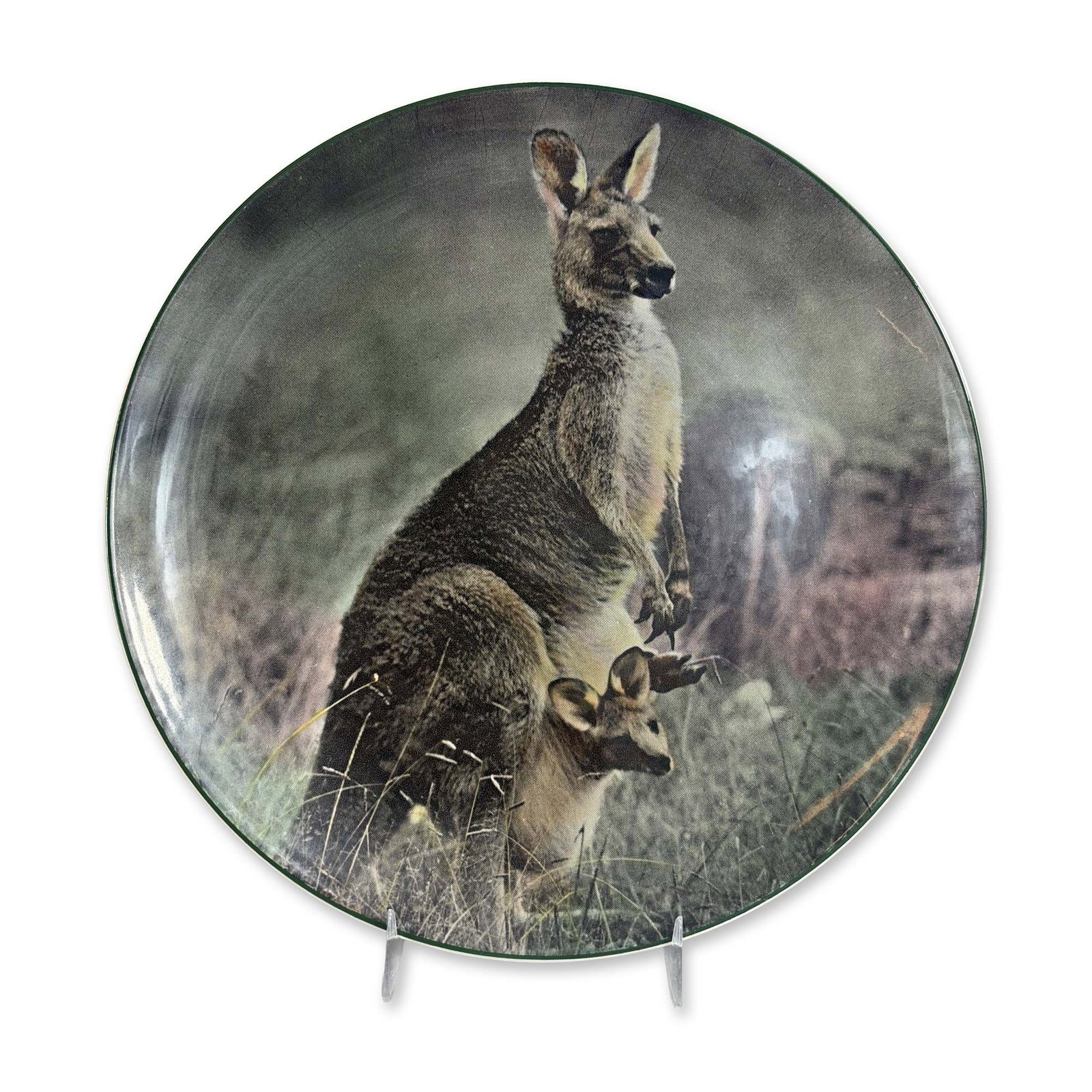Royal Doulton Mother Kangaroo with Joey Ceramic Cabinet Plate: Royal Doulton, England. Circular ceramic cabinet plate featuring a photographic-style transfer-printed image of a mother kangaroo with a joey in a naturalistic landscape. The decoration is executed wi