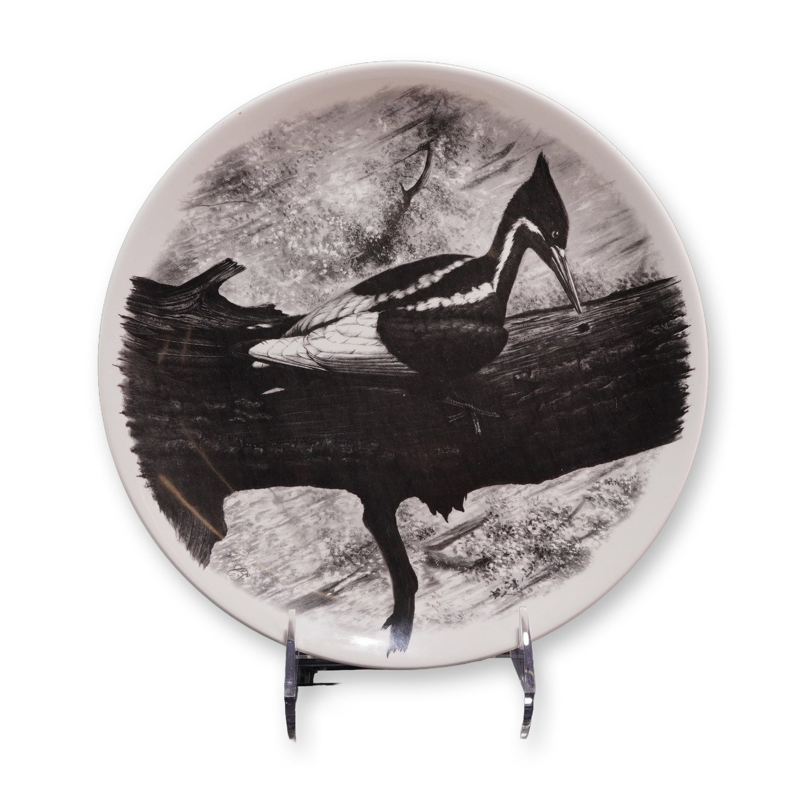 Wedgwood American Birds Design Black and White Ceramic Trial Plate: Produced by Wedgwood, this fine white ceramic display plate features a monochromatic black and white illustration from the American Birds series. The central motif depicts a Pileated Woodpecker perche