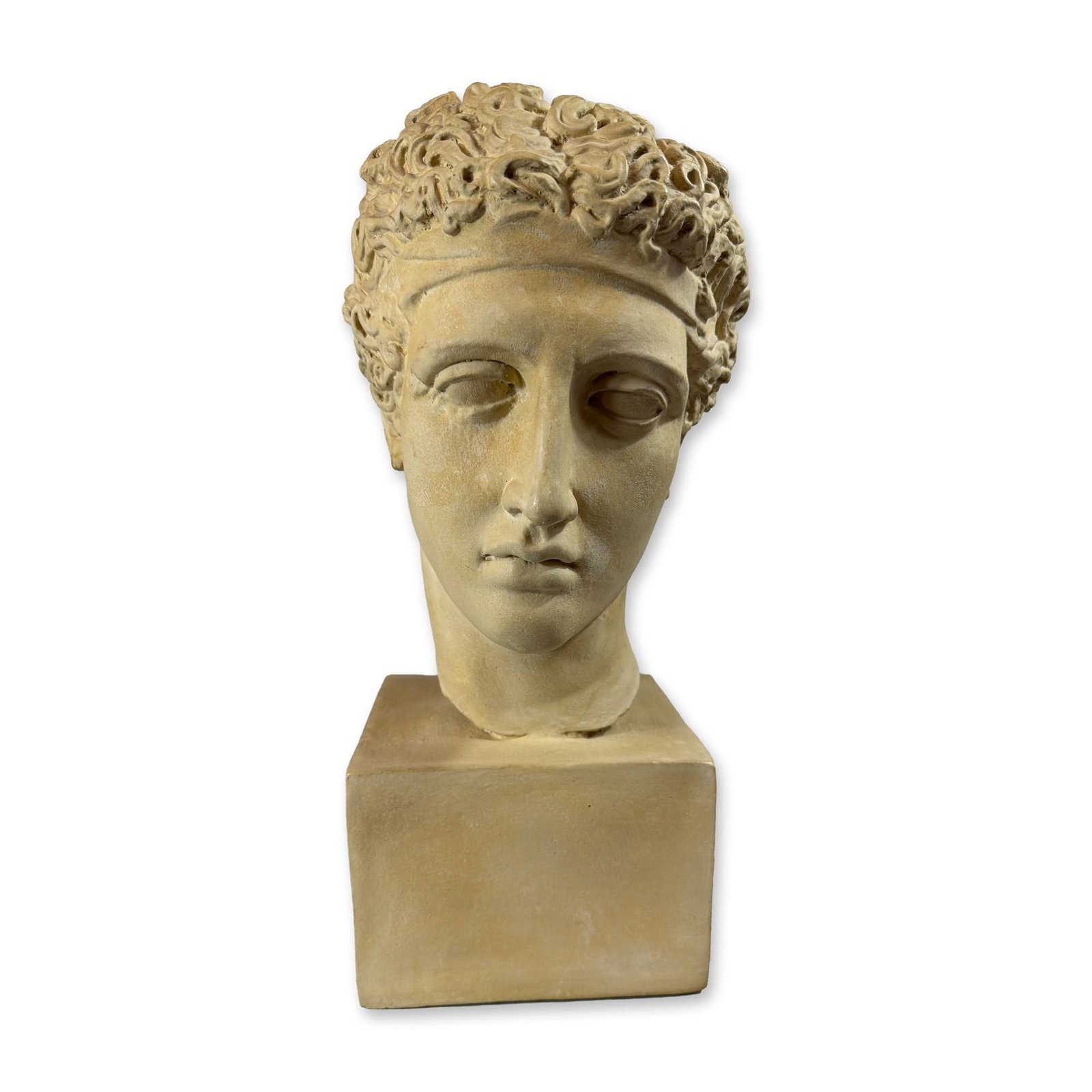 Classical Style Plaster Perseus Bust (1 of 5)