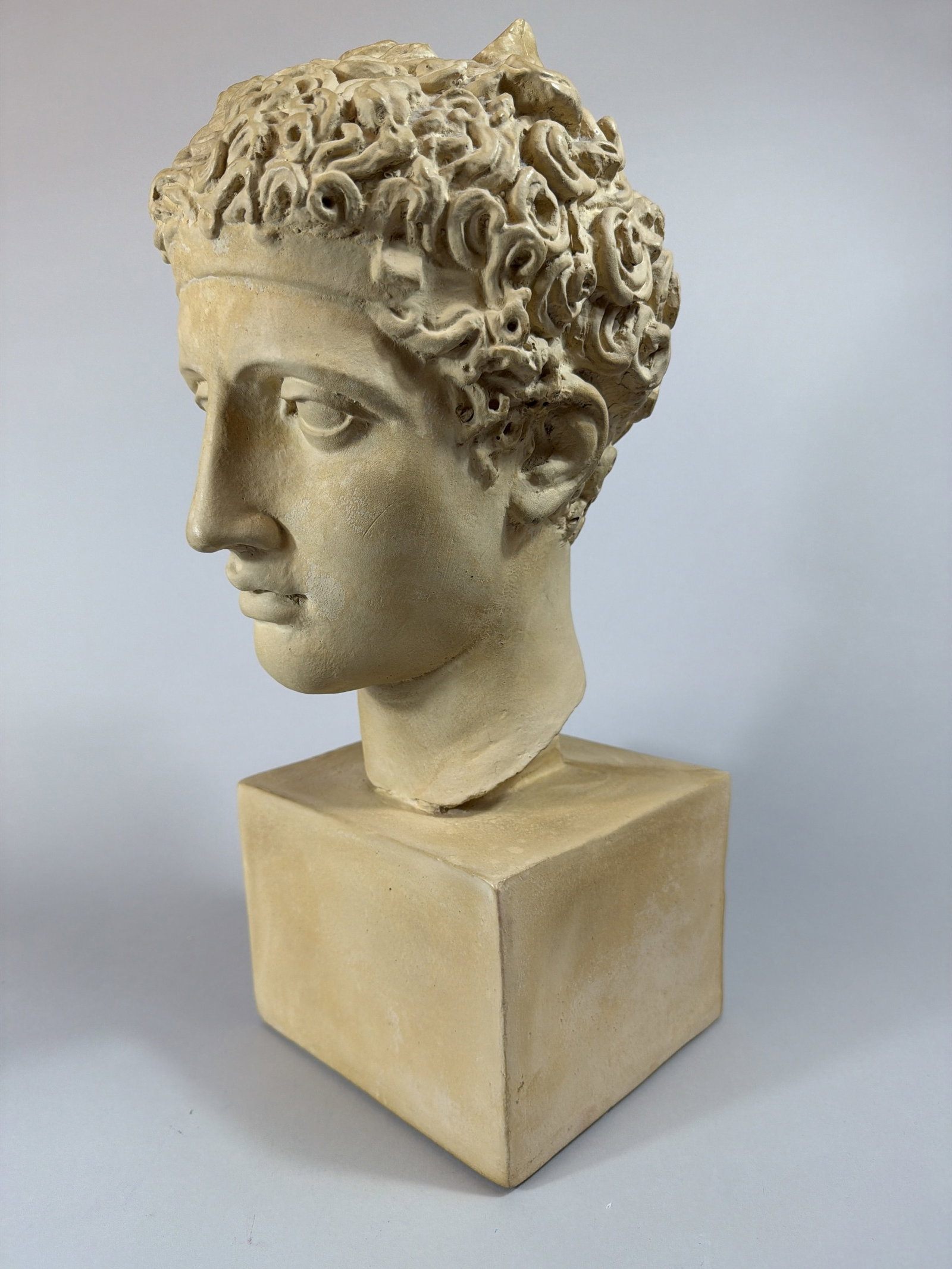 Classical Style Plaster Perseus Bust - 2