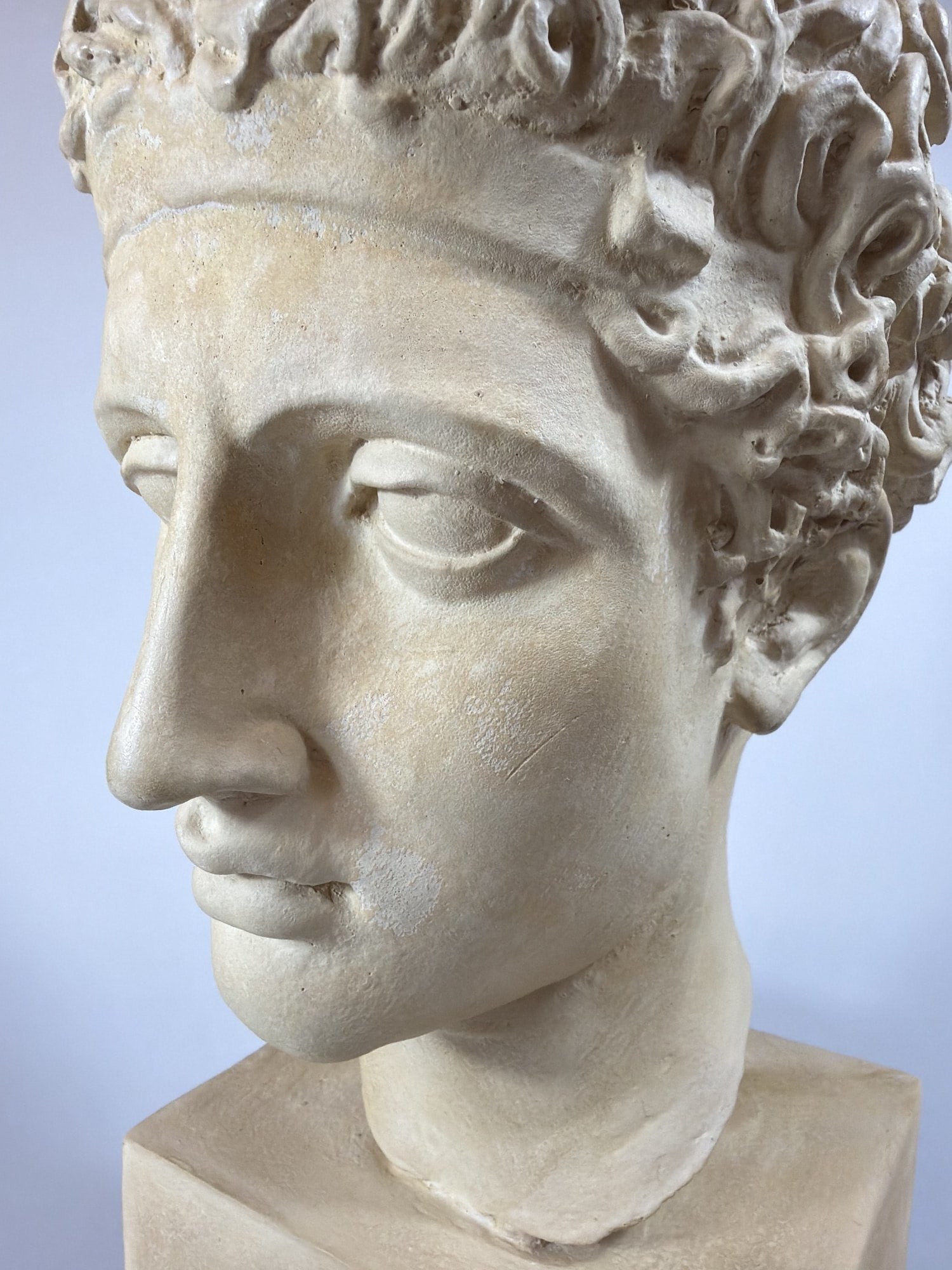 Classical Style Plaster Perseus Bust - 4