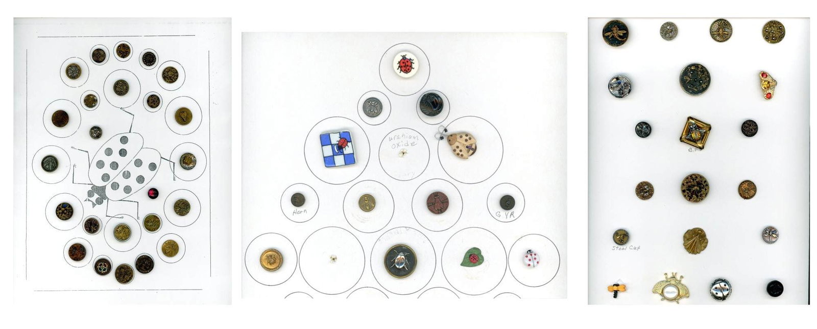 3 CARDS OF ASSORTED INSECT BUTTONS (1 of 4)