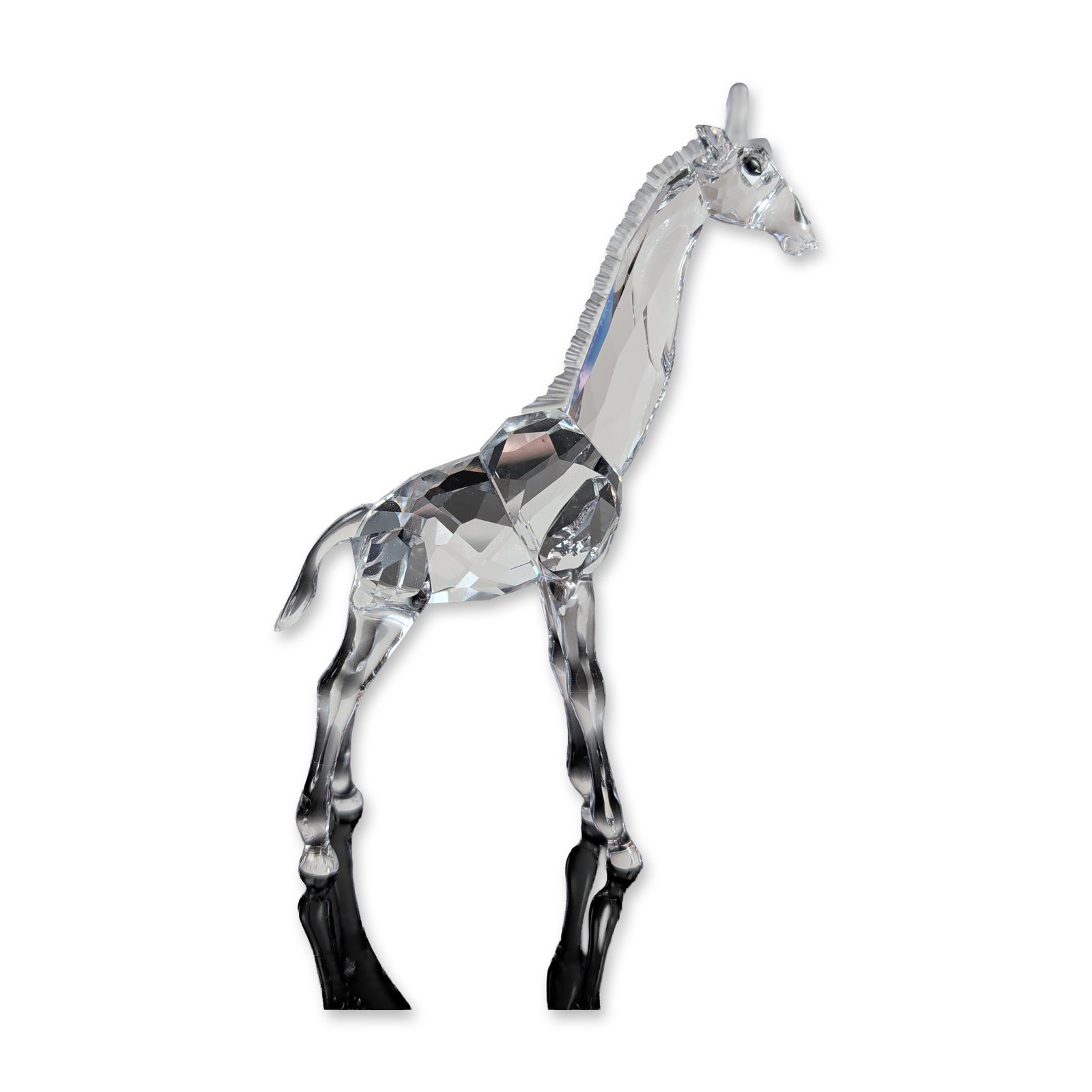 Swarovski Crystal Figurine Baby Giraffe: Figurine of a baby giraffe in faceted and smooth clear crystal, featuring a textured mane and dark-set eyes. An etched mark is present on the underside of one foot. Designer: Michael Stamey. Model num
