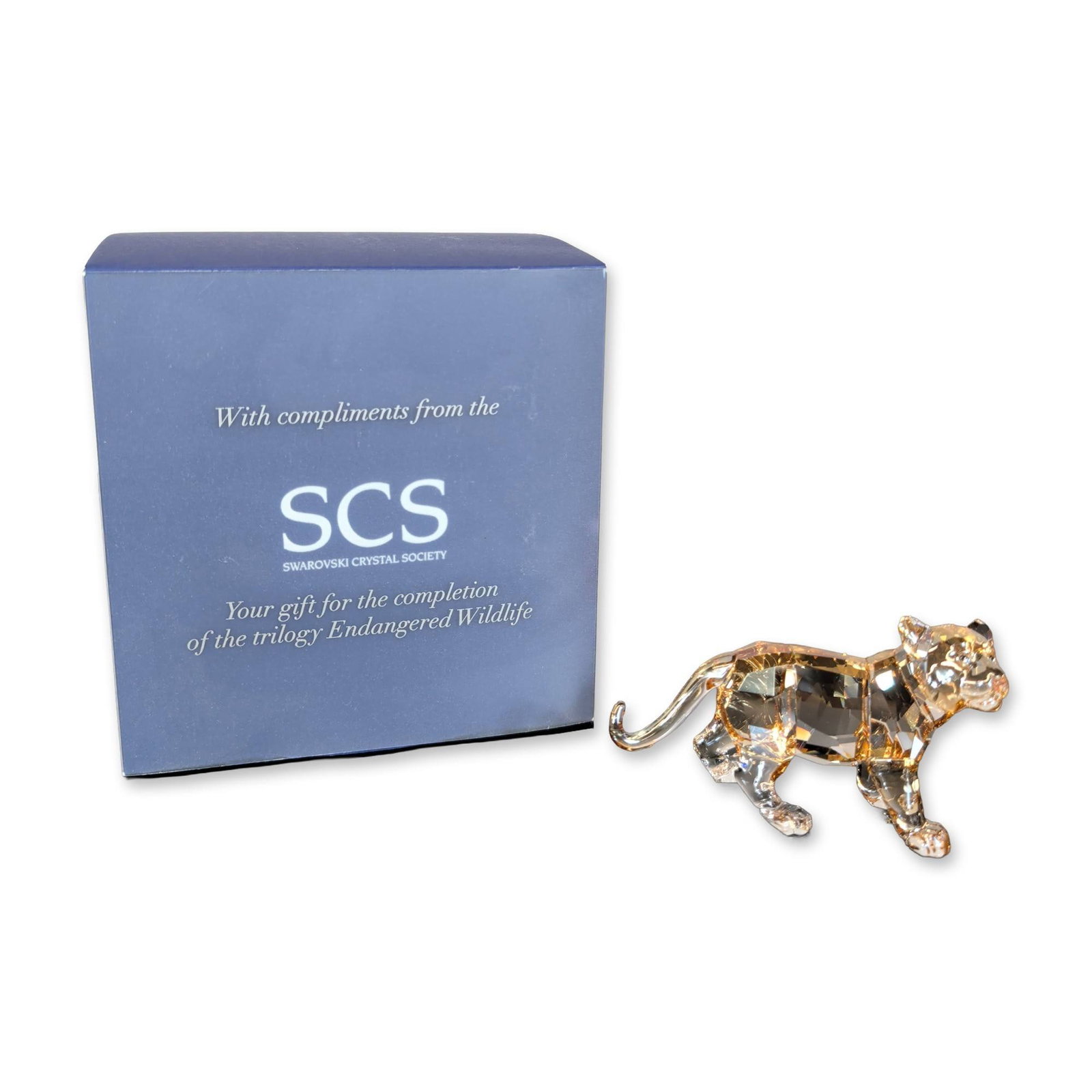Swarovski SCS Tiger Cub Figurine (1 of 4)