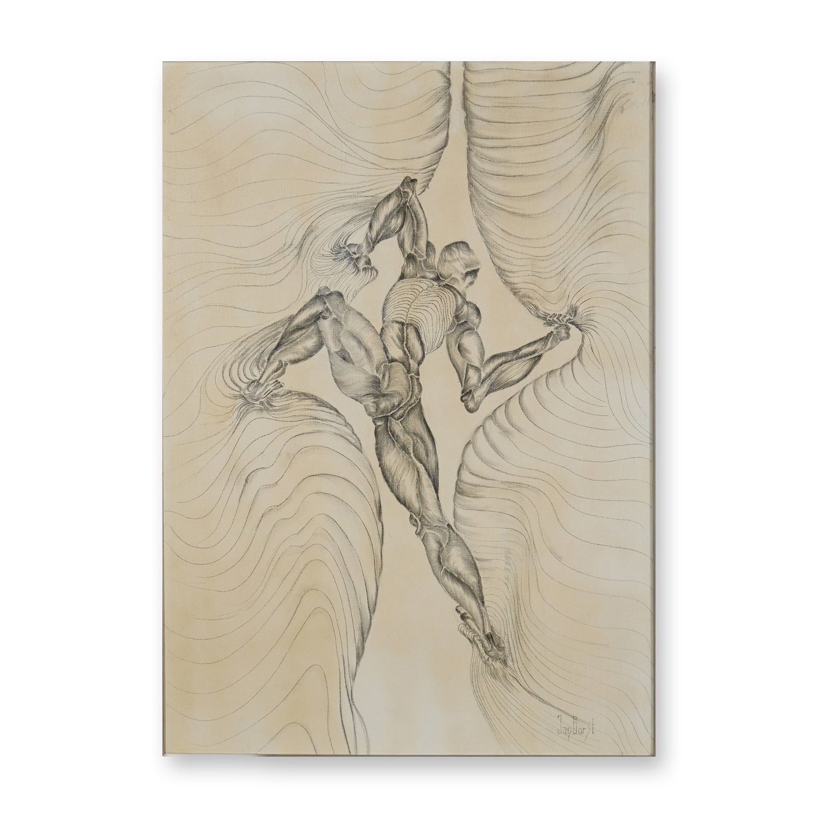 Jan Borst Original Graphite Drawing on Canvas, Surrealist Ecorche Figure (1 of 6)