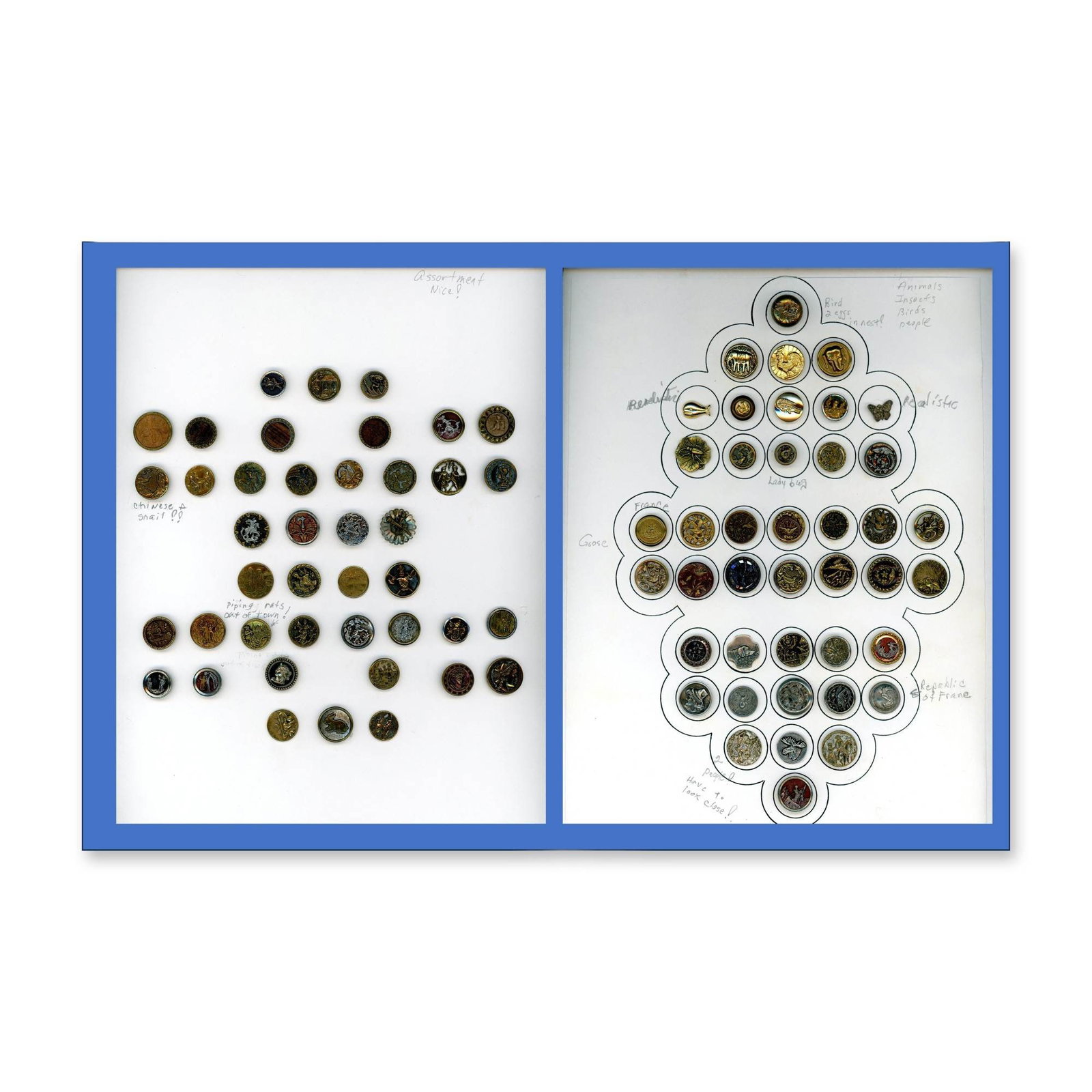 2 CARDS DIVISION ONE PICTORIAL METAL BUTTONS (1 of 3)