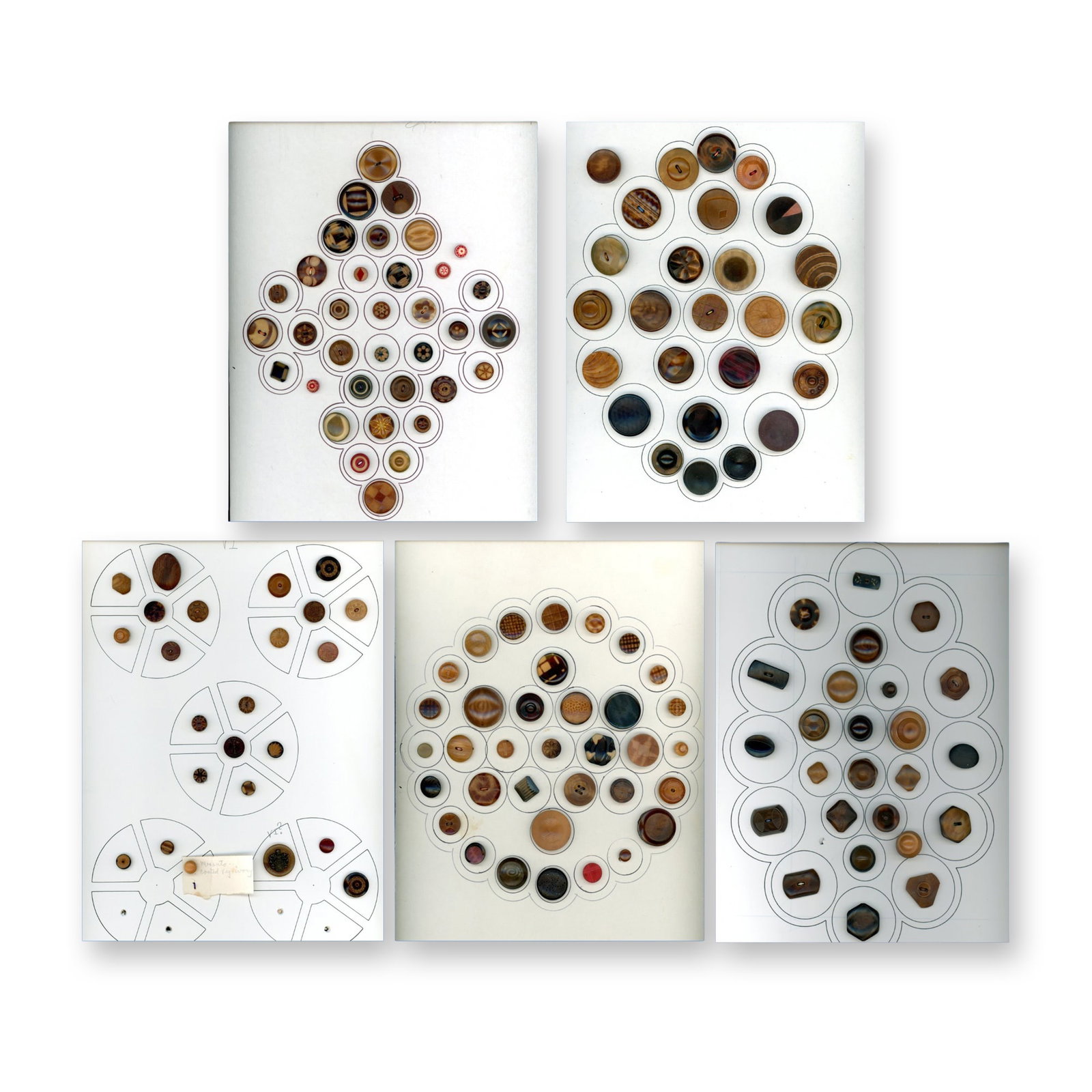 5 CARDS OF DIVISION ONE ASSORTED VEG. IV BUTTONS (1 of 6)
