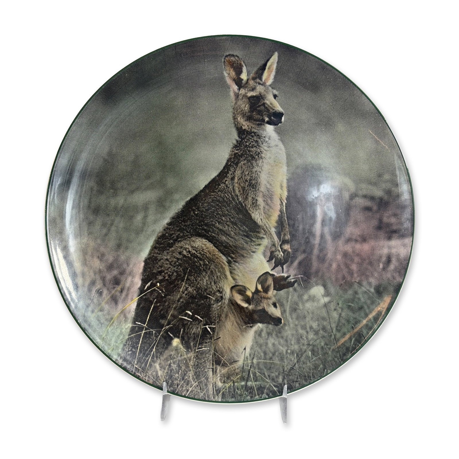 Royal Doulton Mother Kangaroo with Joey Ceramic Cabinet Plate: Royal Doulton, England. Circular ceramic cabinet plate featuring a photographic-style transfer-printed image of a mother kangaroo with a joey in a naturalistic landscape. The decoration is executed wi