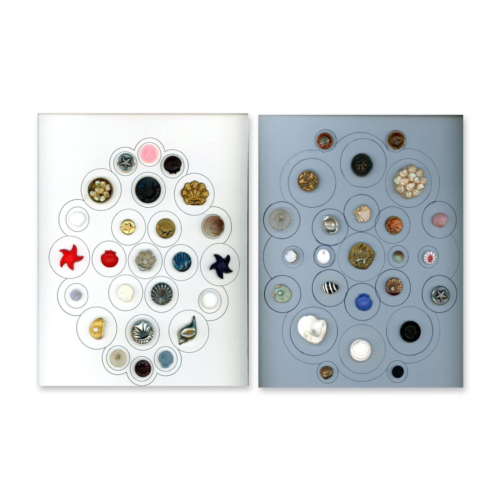 2 CARDS OF BUTTONS DEPICTING SHELLS (1 of 3)