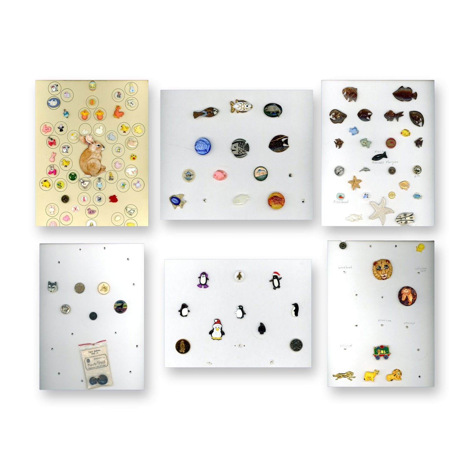 6 CARDS OF ASSORTED ANIMAL LIFE BUTTONS (1 of 12)